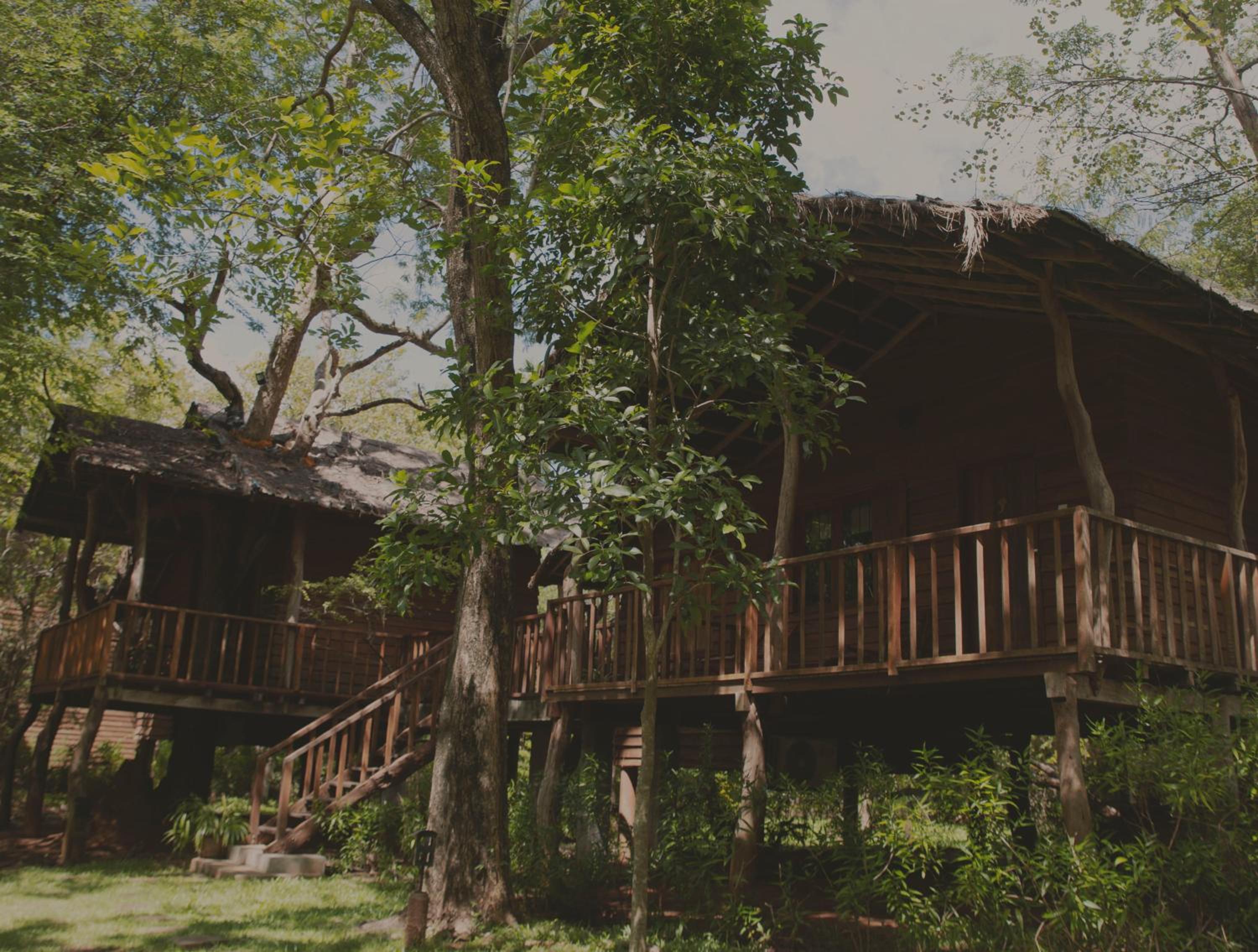 Duplex Tree Cottage photo 2