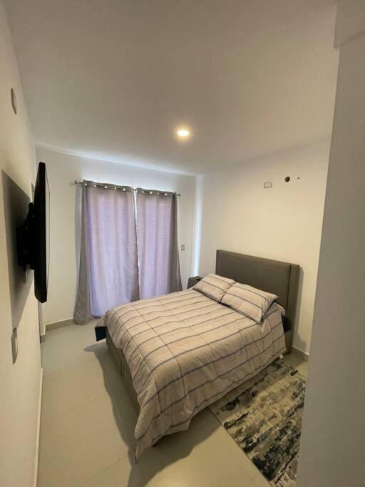 One-Bedroom Apartment photo 3