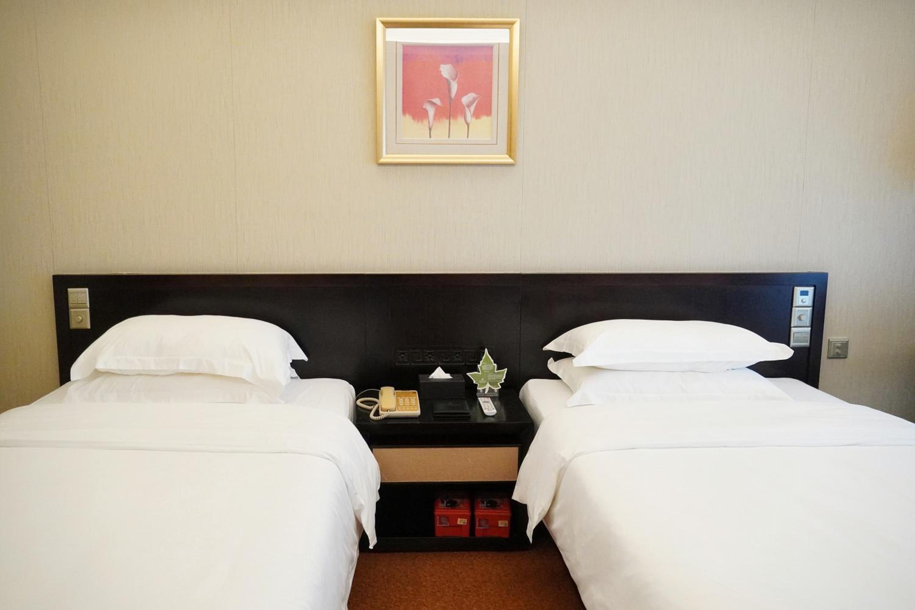 Standard Twin Room - Photo 2