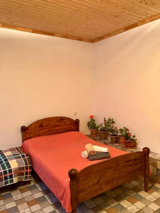 One-Bedroom House photo 1