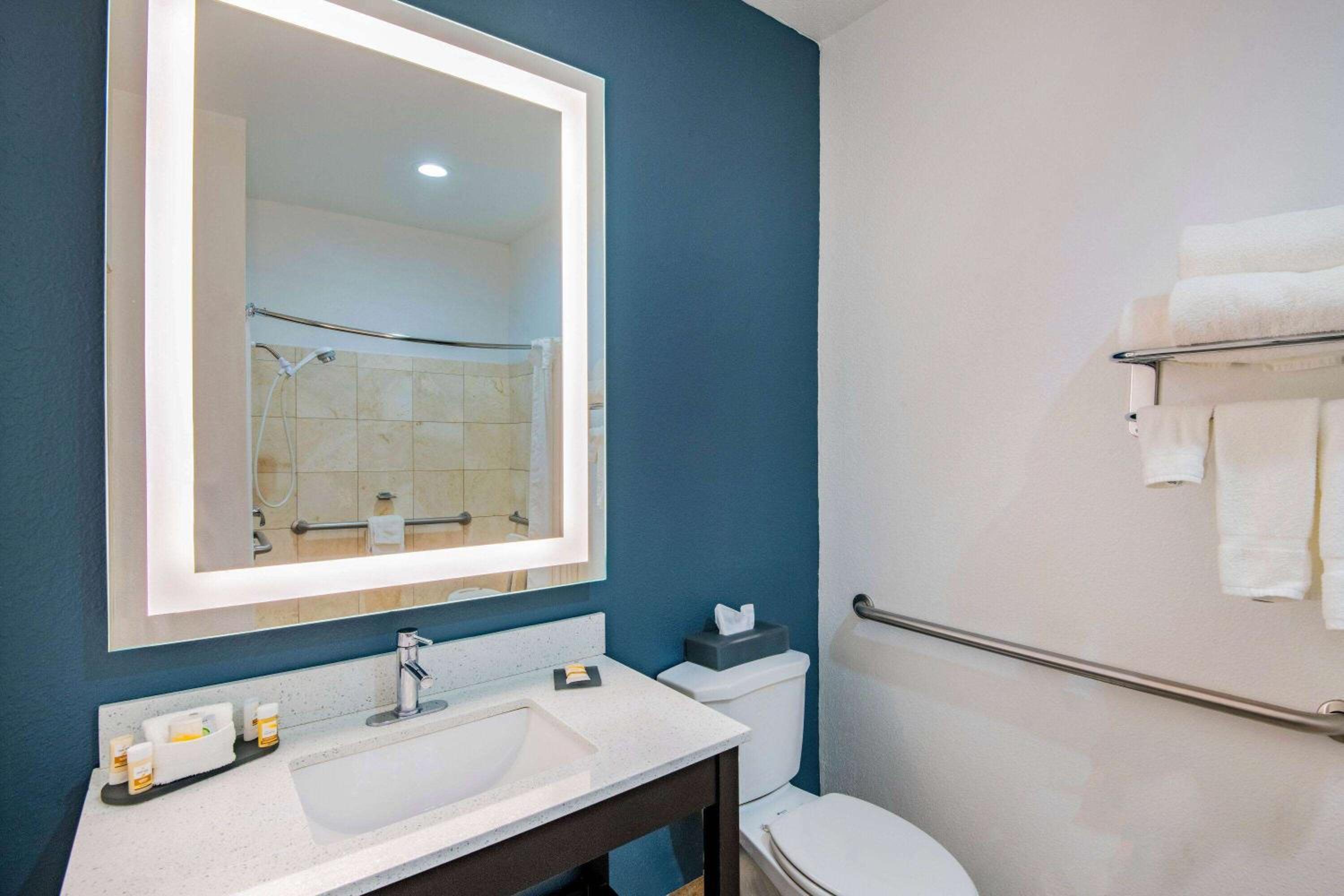 Deluxe King Room - Photo 6