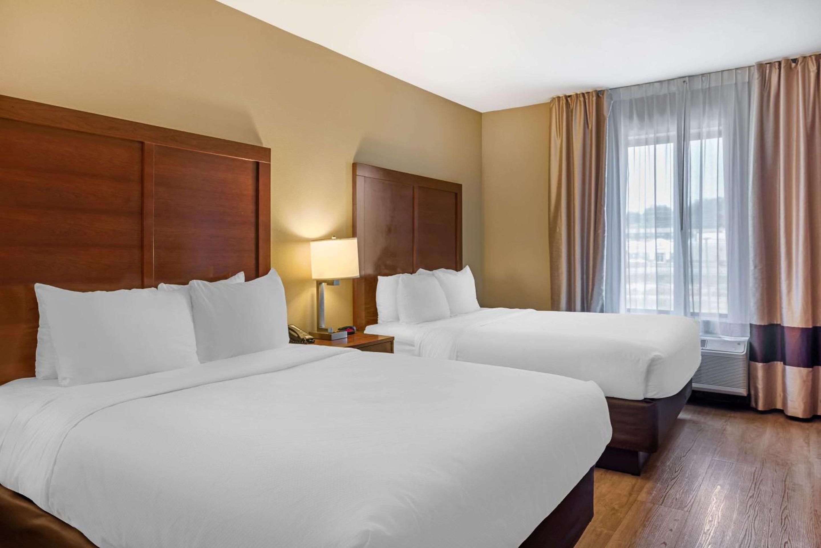 Queen Suite with Two Queen Beds - Non-Smoking photo 3