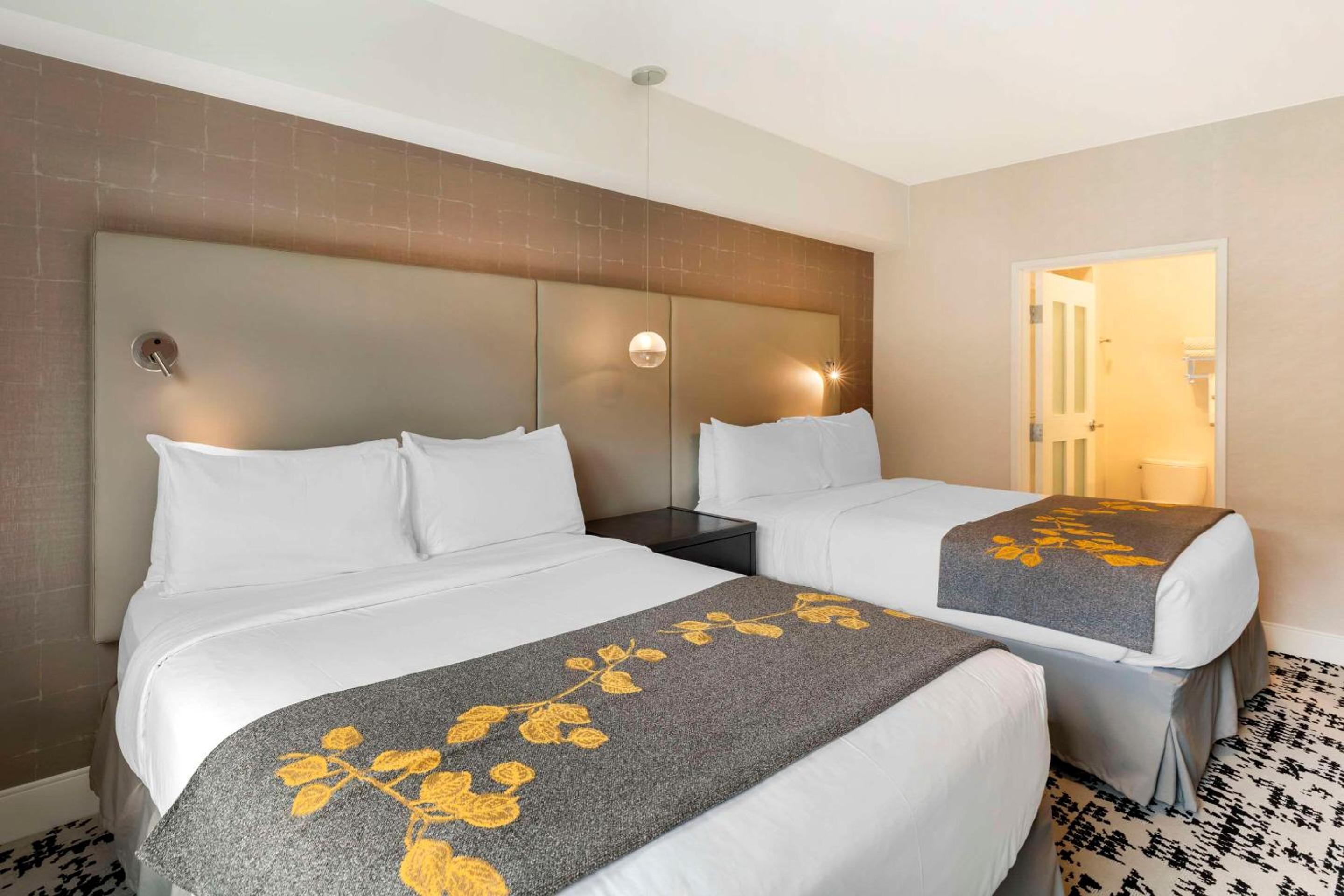 1 Bedroom Suite, 2 Queen Beds, 1 Single Bed/ Disability Access - Non Smoking