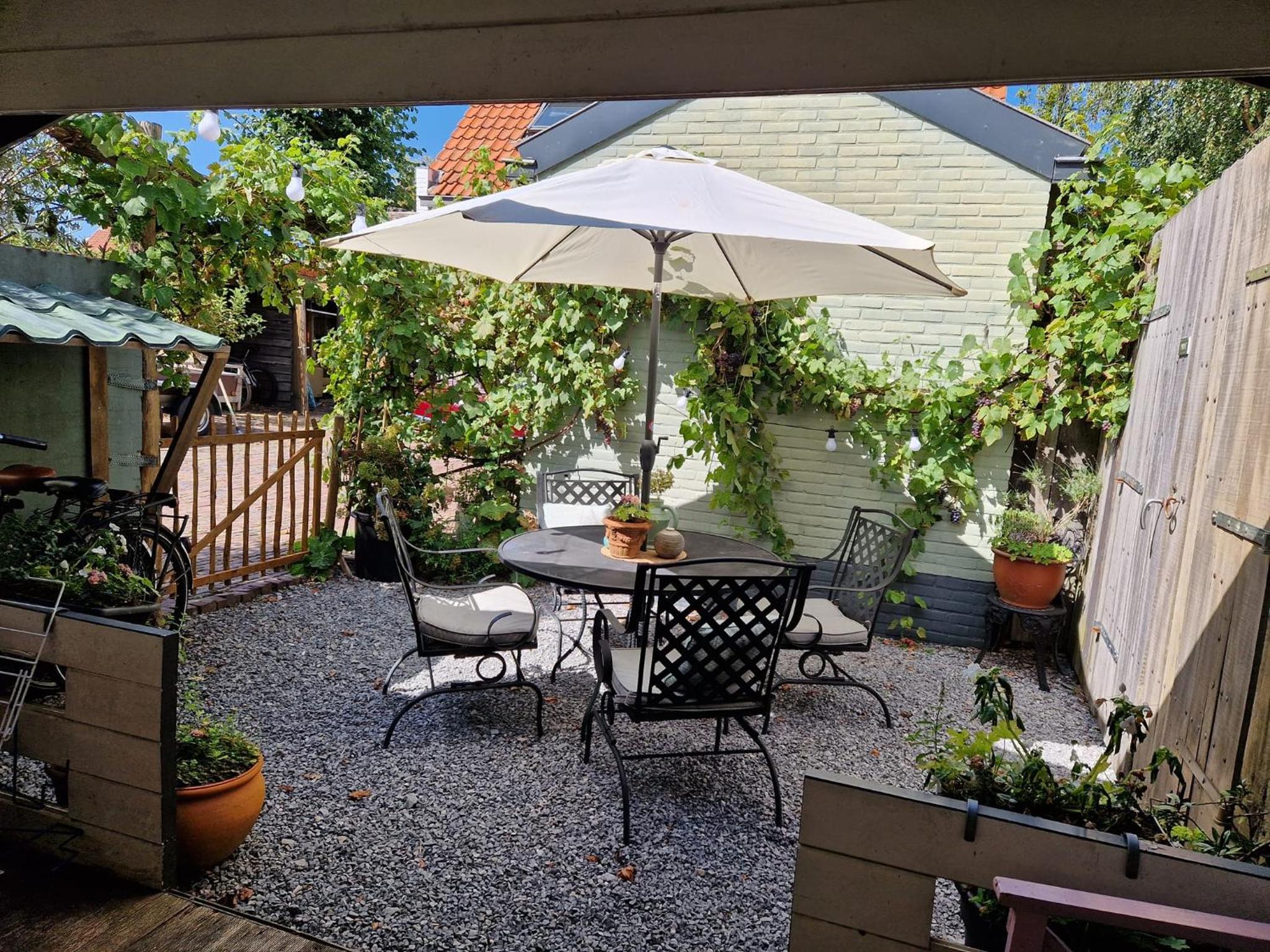 Apartment with Terrace photo 3