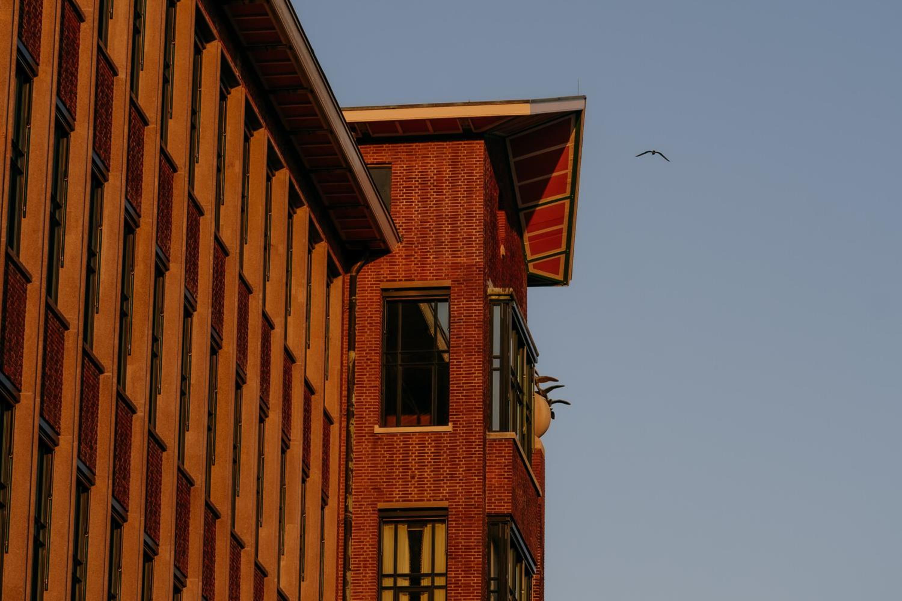 De Plesman Suite - Photo 4