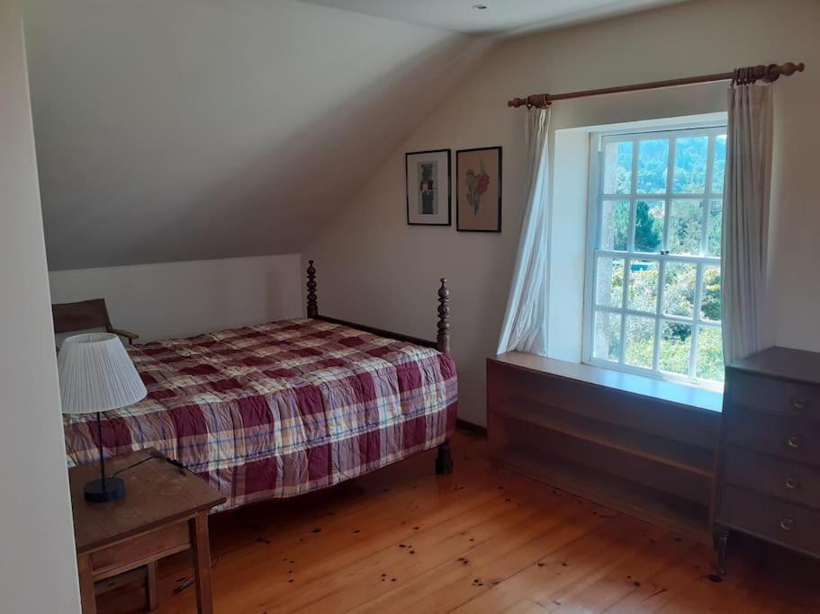 Three-Bedroom House photo 3