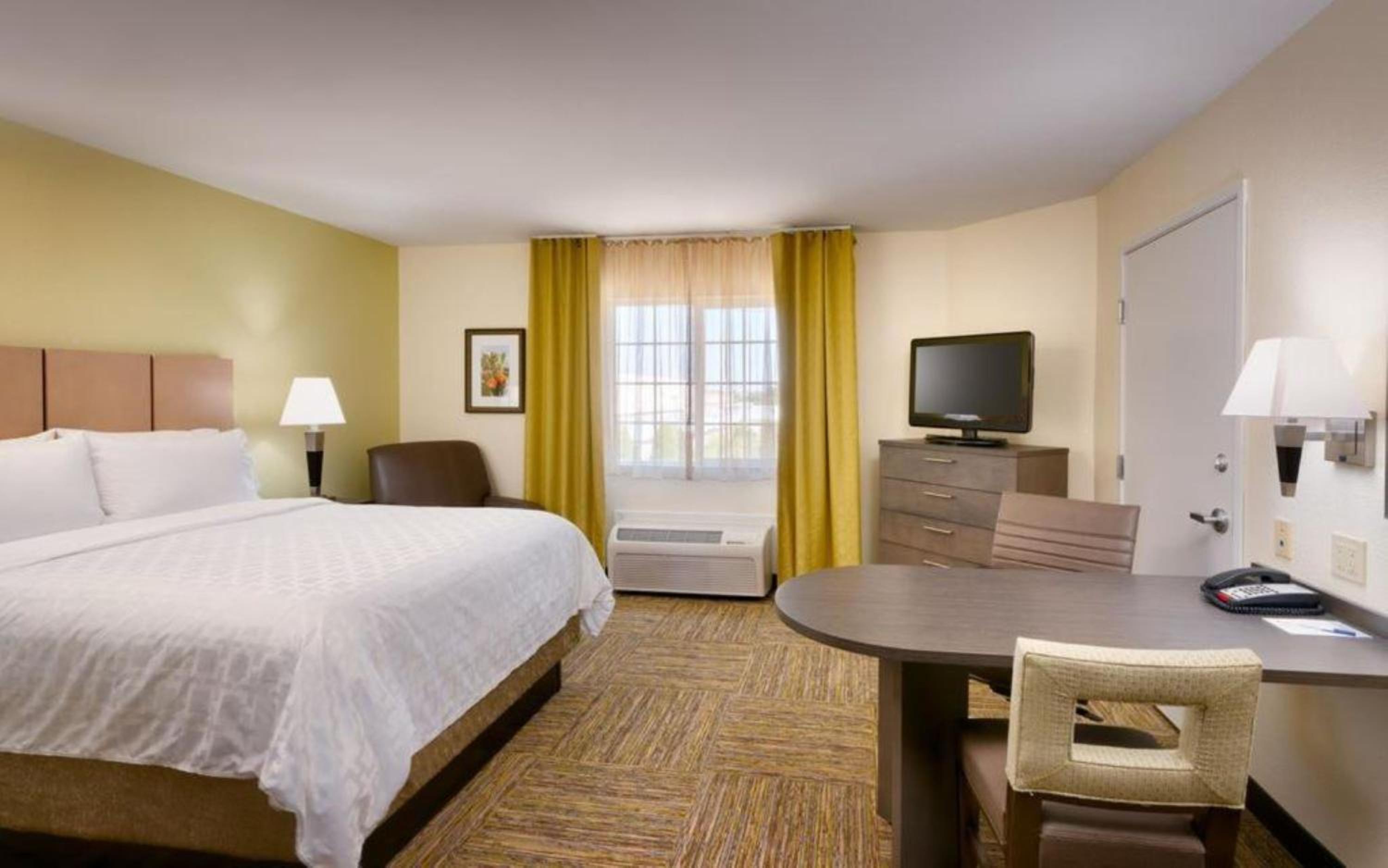 King Studio Suite - Photo 1