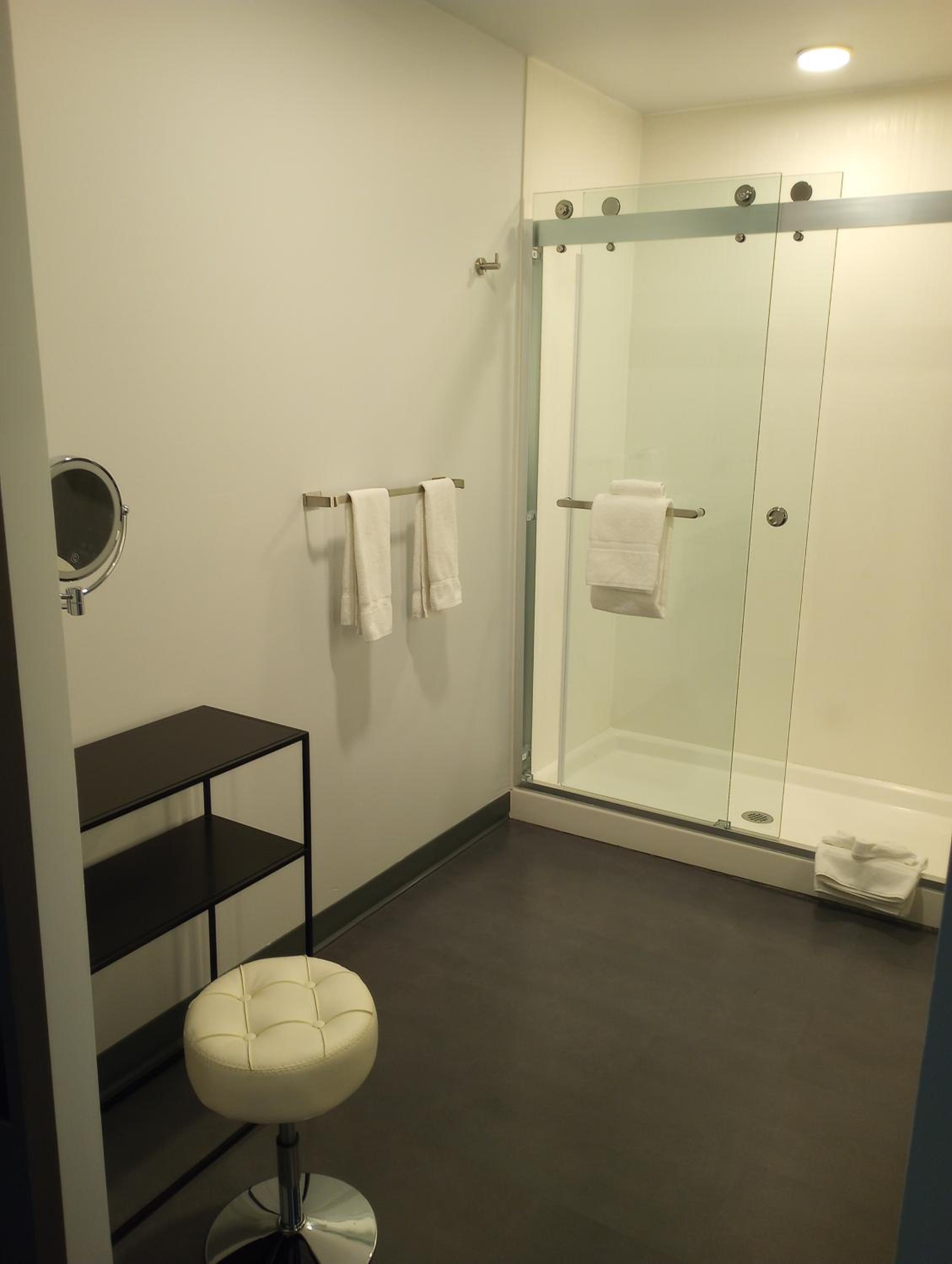 Deluxe King Suite photo 3