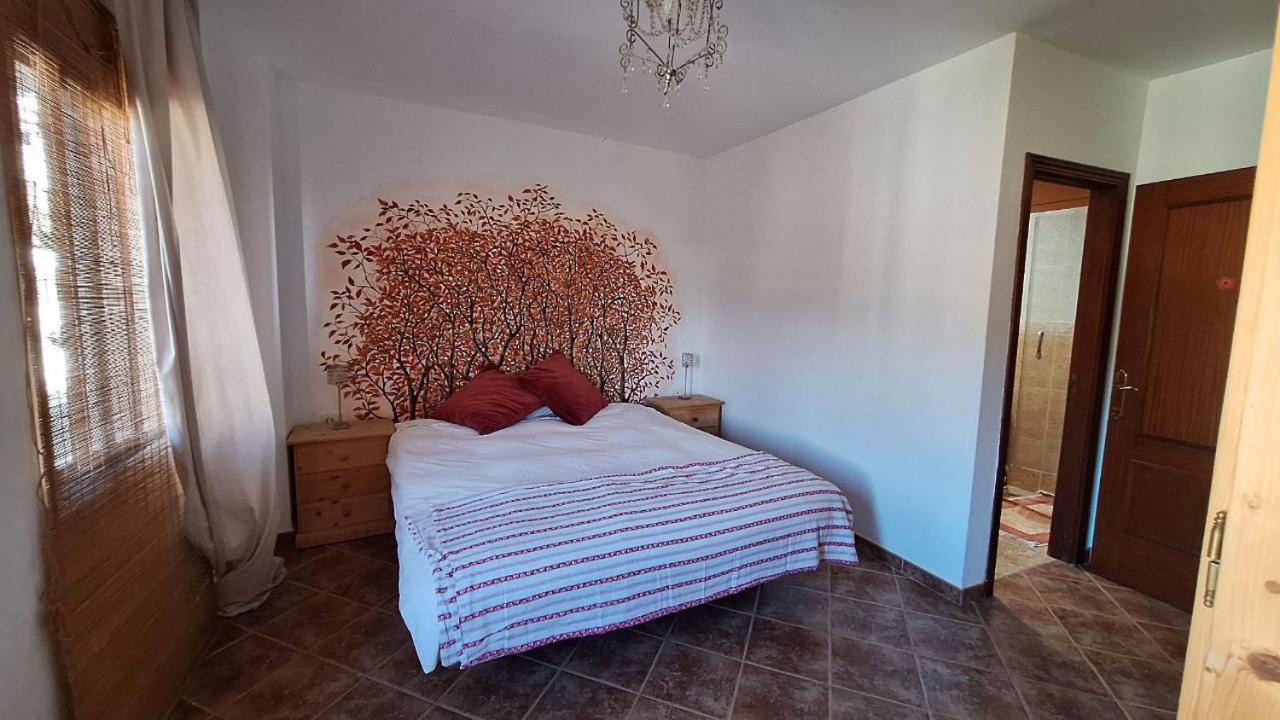 Habitación King con vista a la montaña