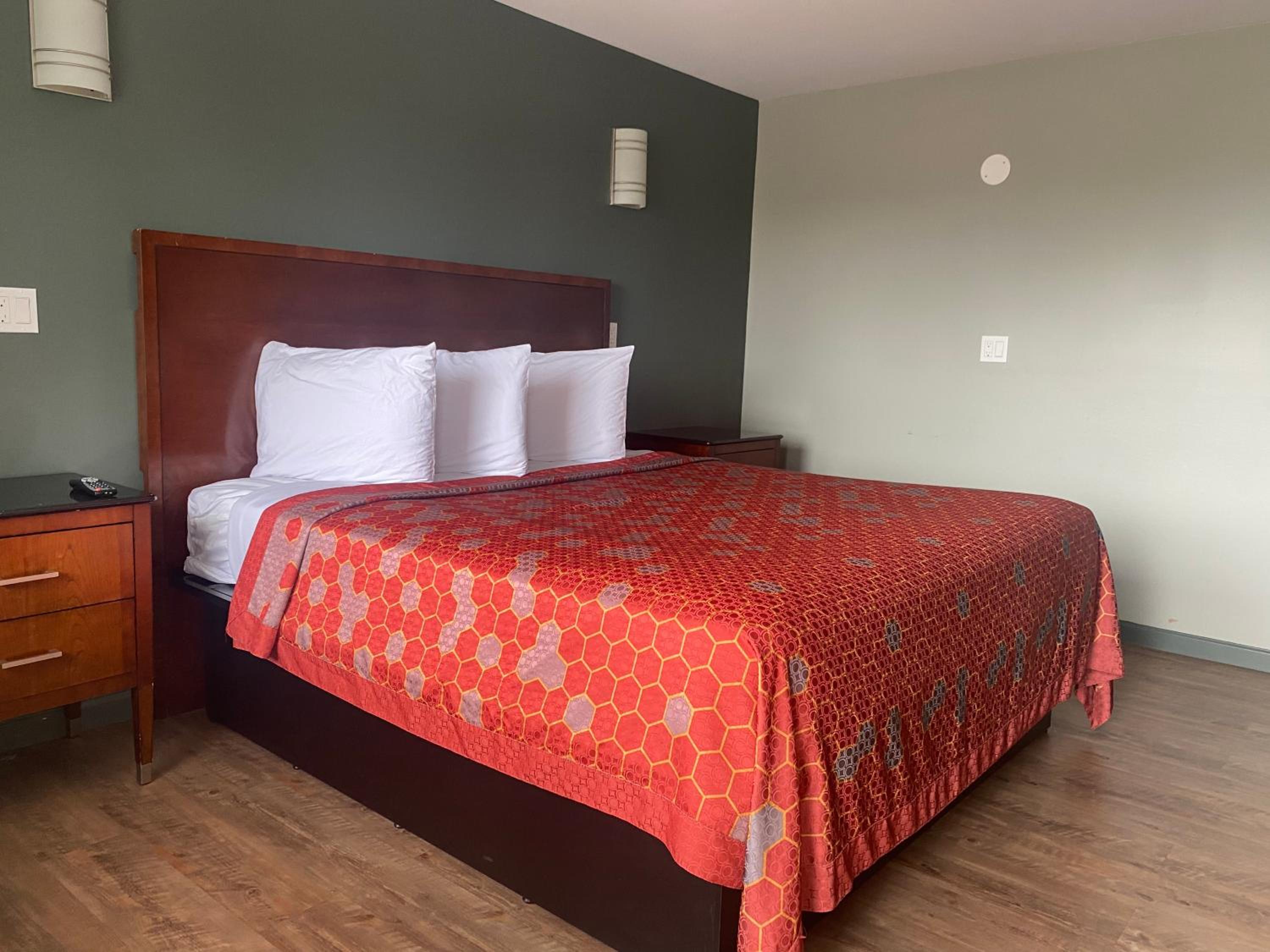 Single Room photo 1