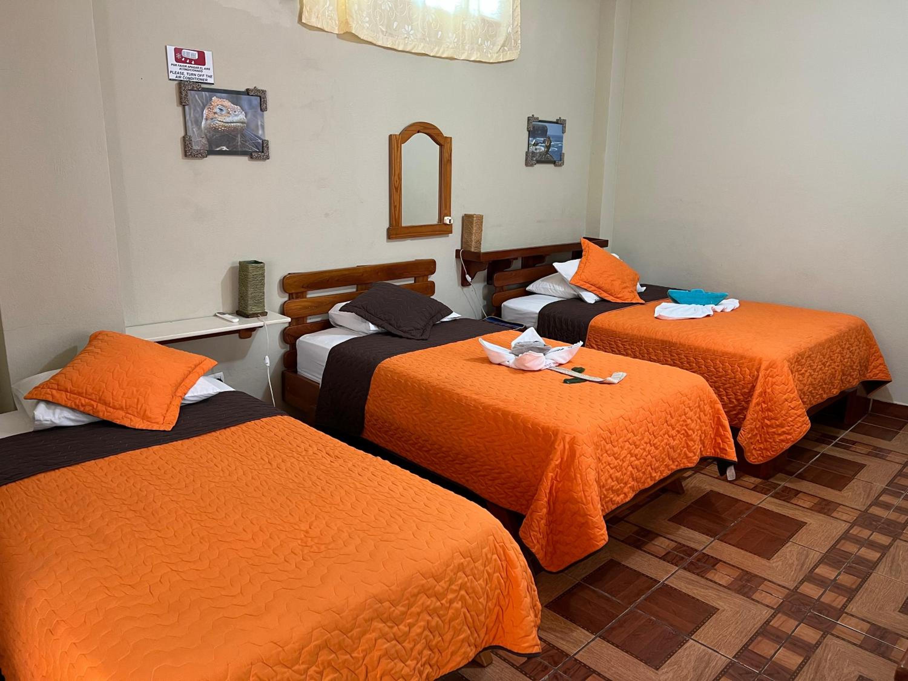 Triple Room photo 2