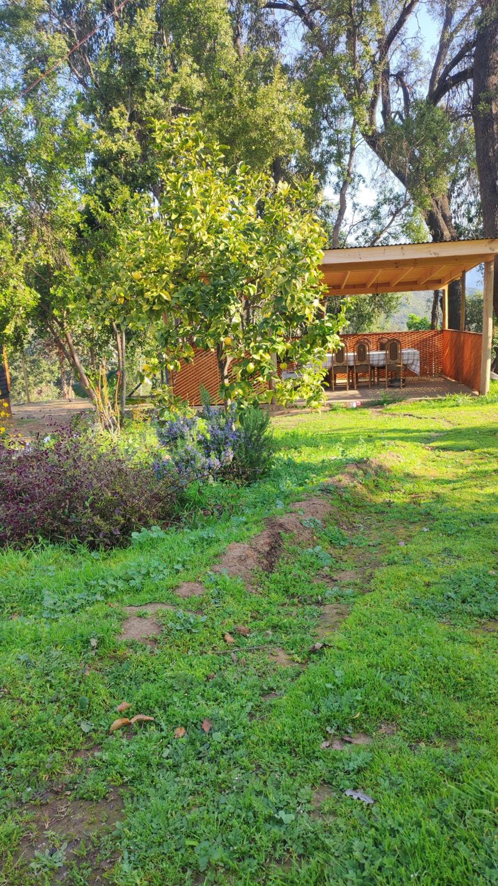 One-Bedroom Chalet photo 3