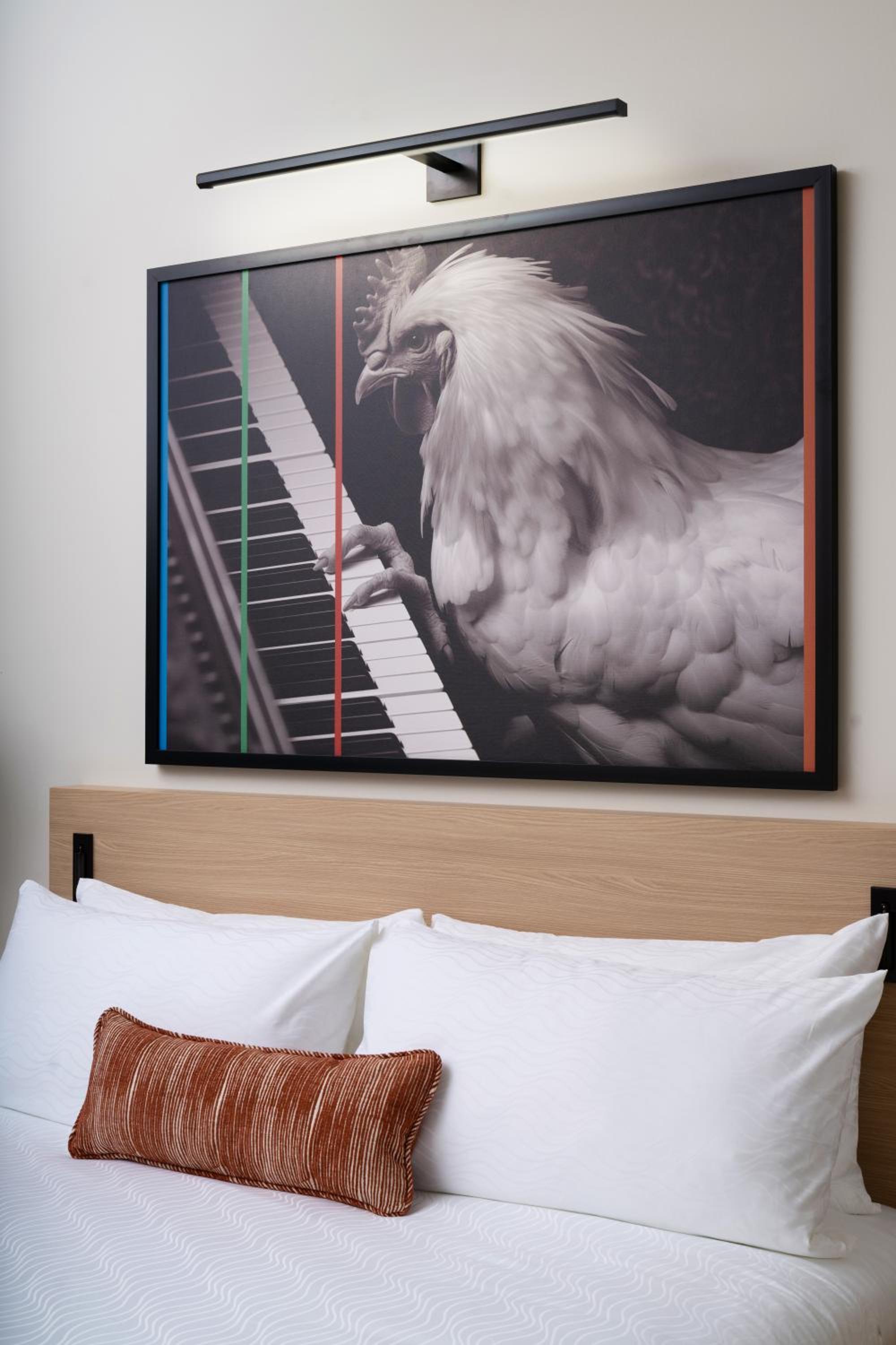 King Room photo 3