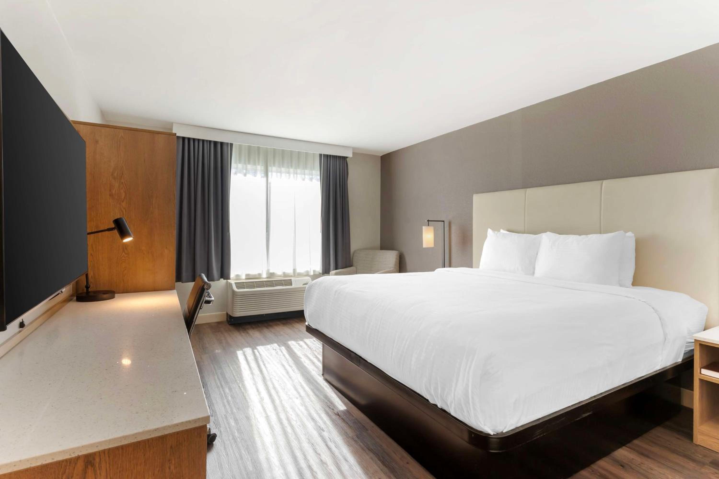 King Room - Non-Smoking - Photo 1