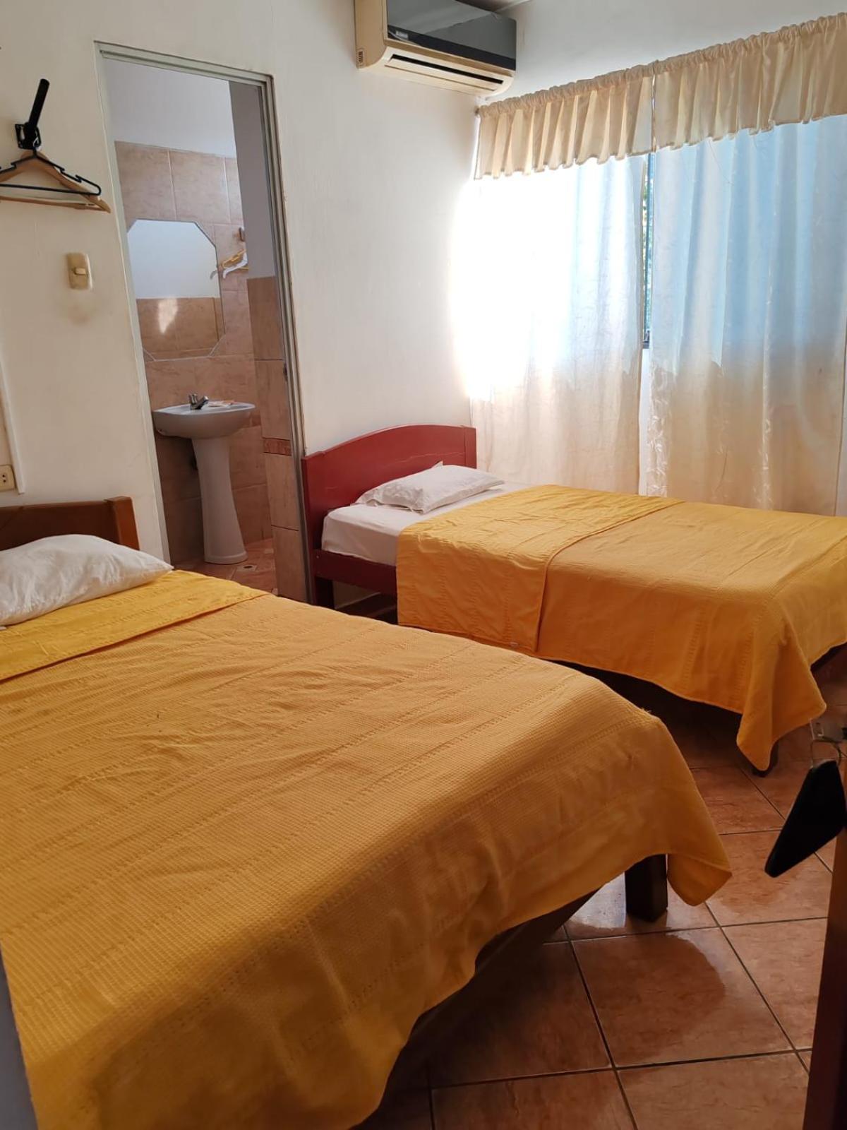 Twin Room photo 2