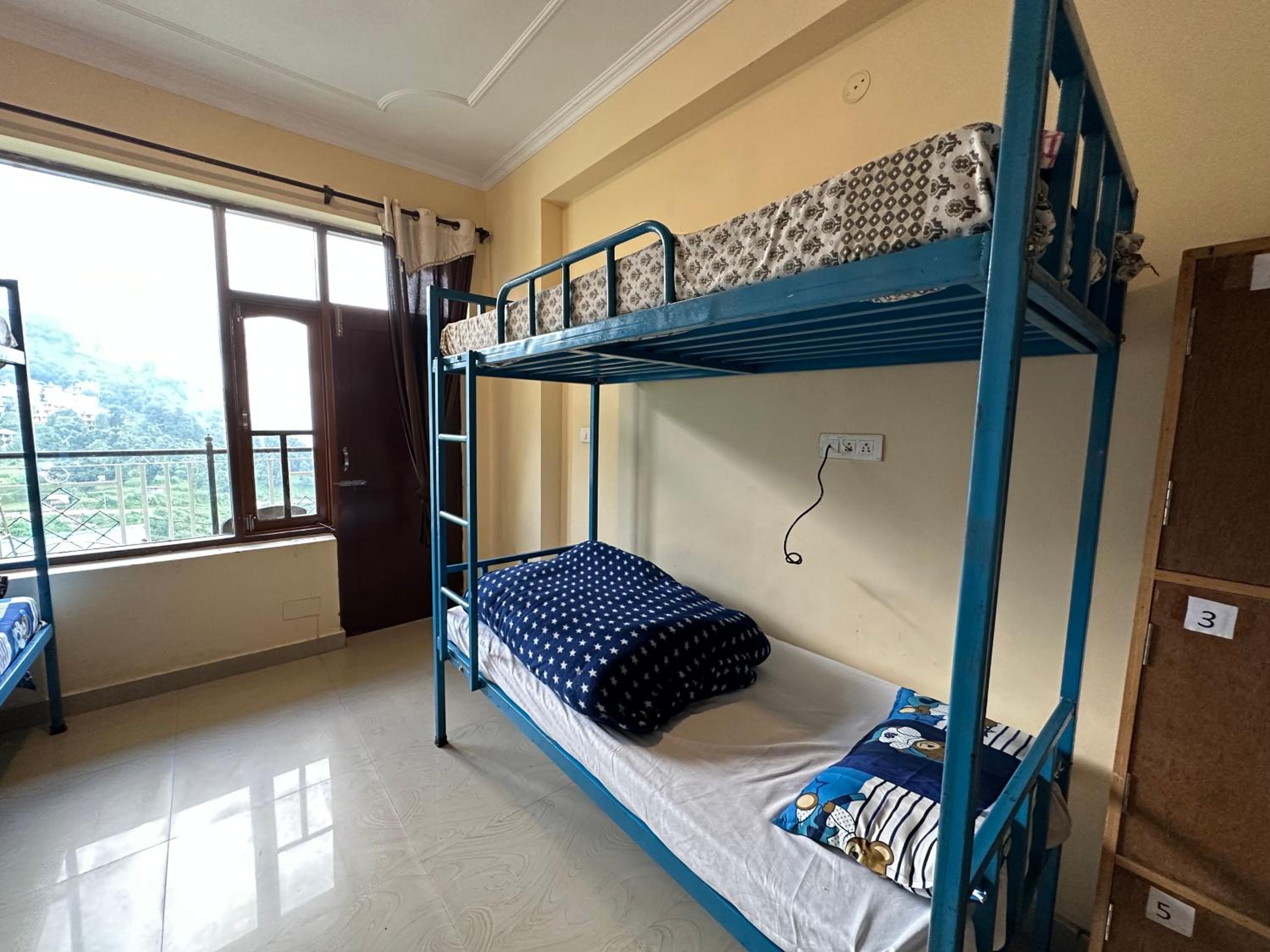 Bunk Bed In Mixed Dormitory Room photo 1