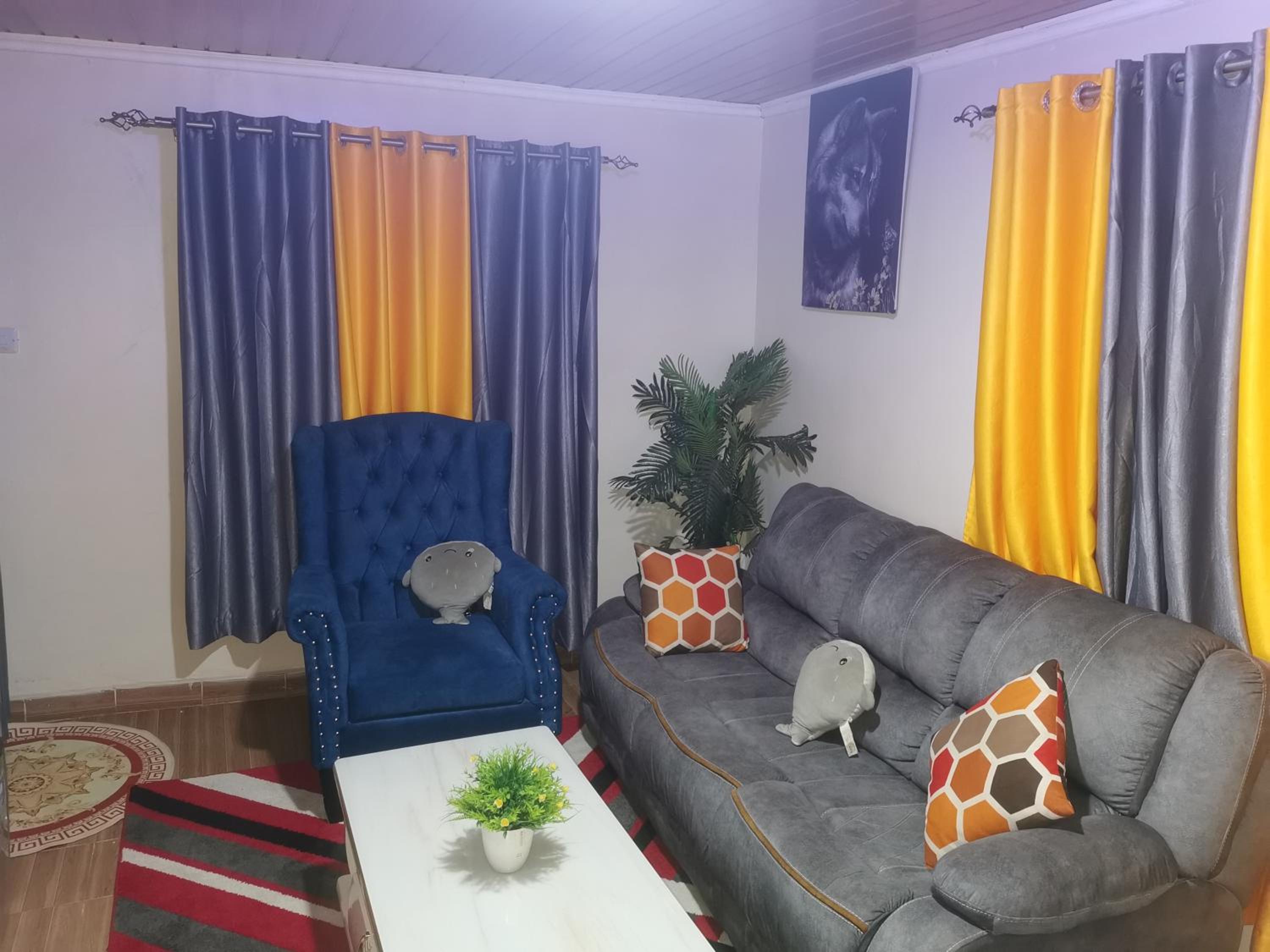 One-Bedroom Apartment photo 3