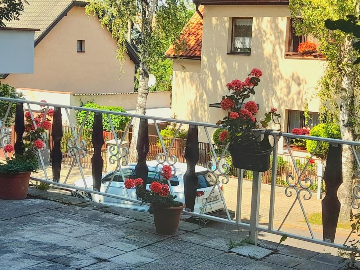 Apartment with Terrace photo 3