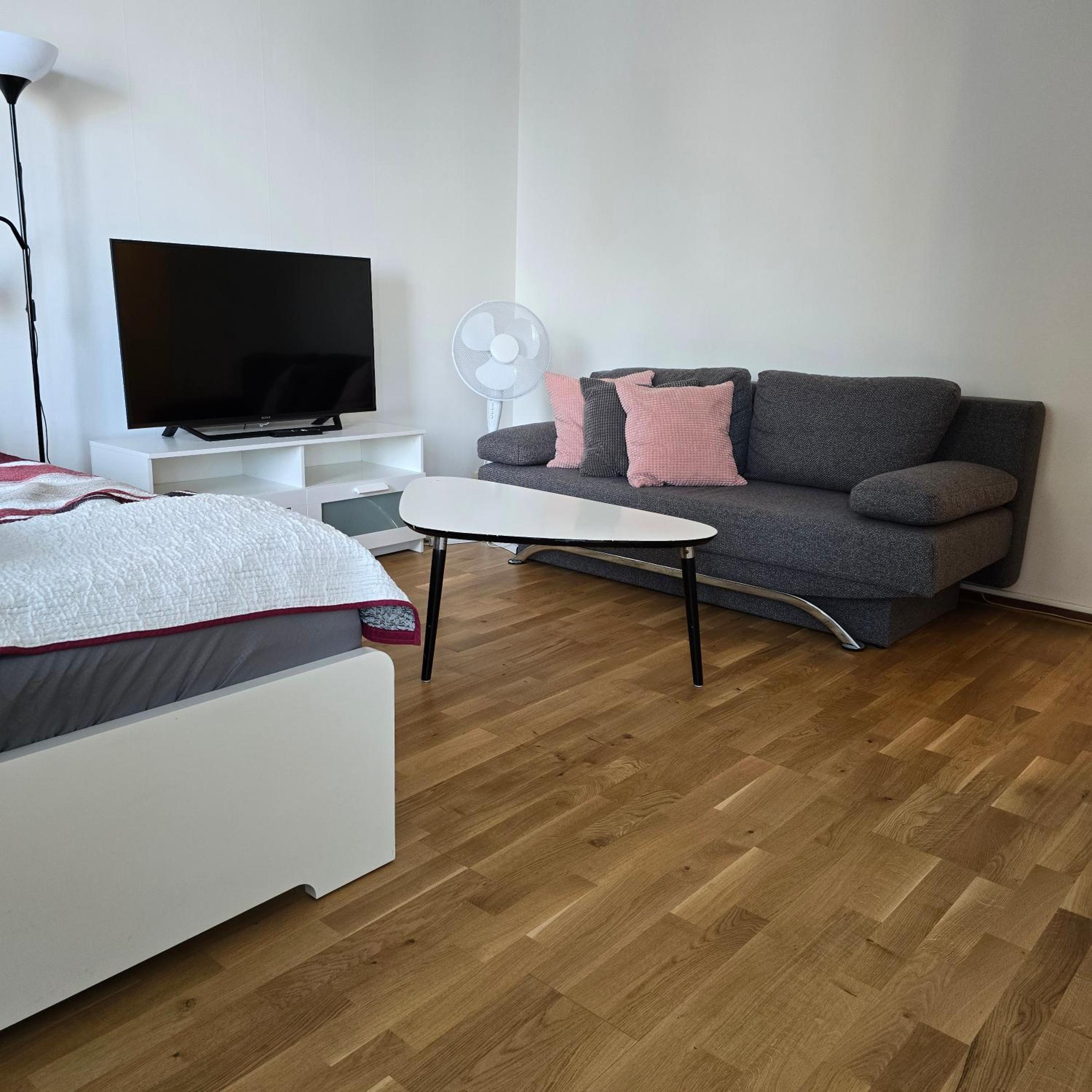 Studio Apartment photo 1