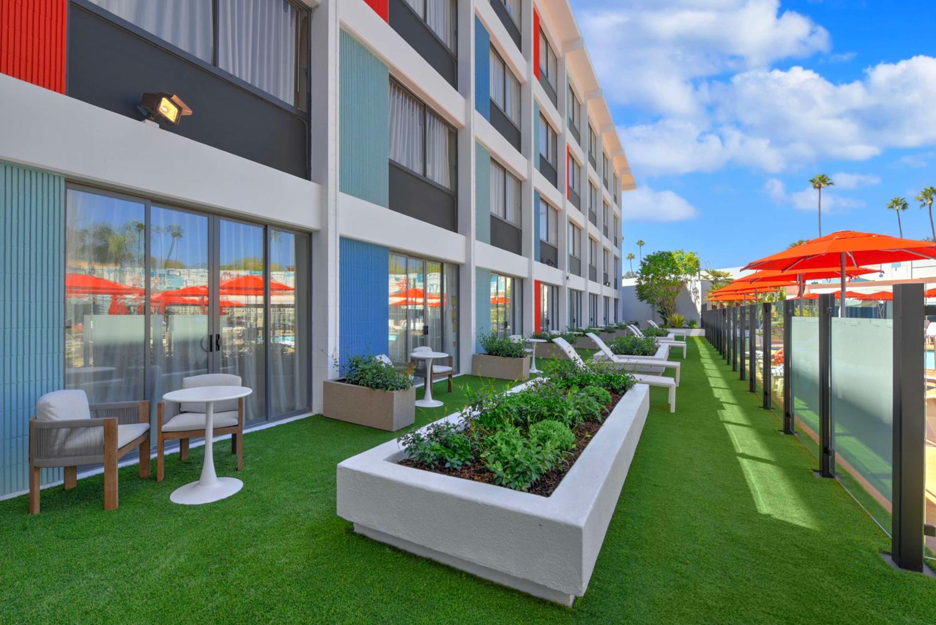 Double Oasis Room With Courtyard Patio