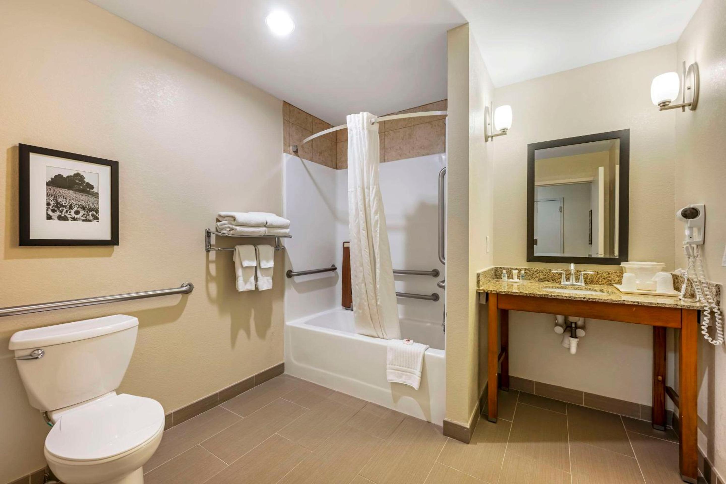 King Suite - Accessible/Non-Smoking - Photo 4