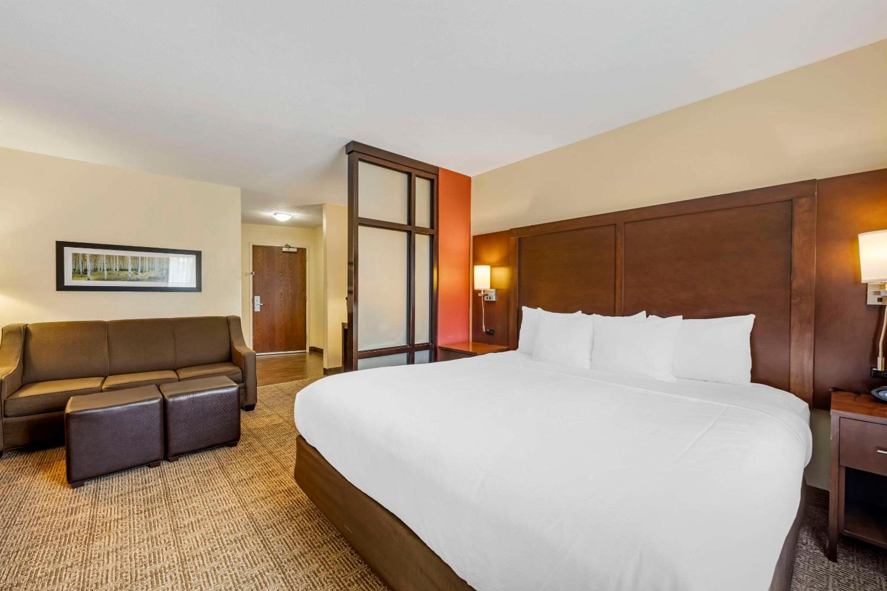 King Suite with Sofa Bed - Non-Smoking - Photo 4