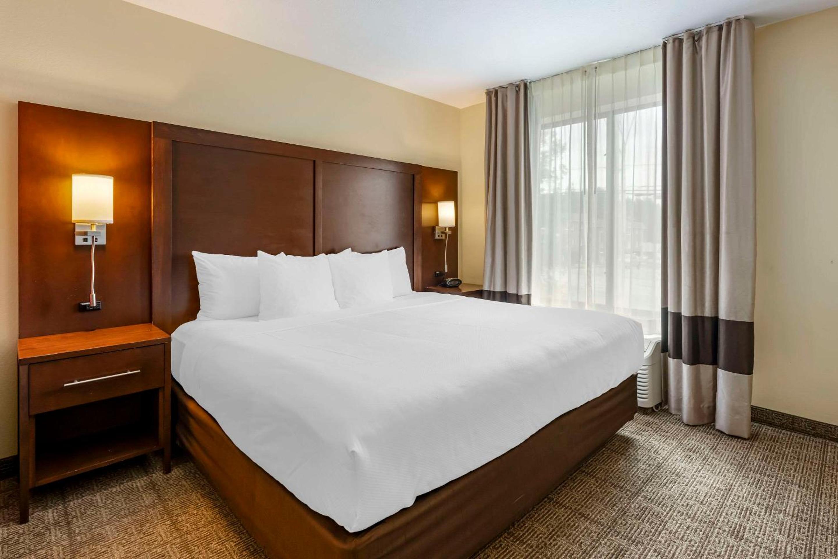 King Suite with Sofa Bed - Non-Smoking - Photo 3