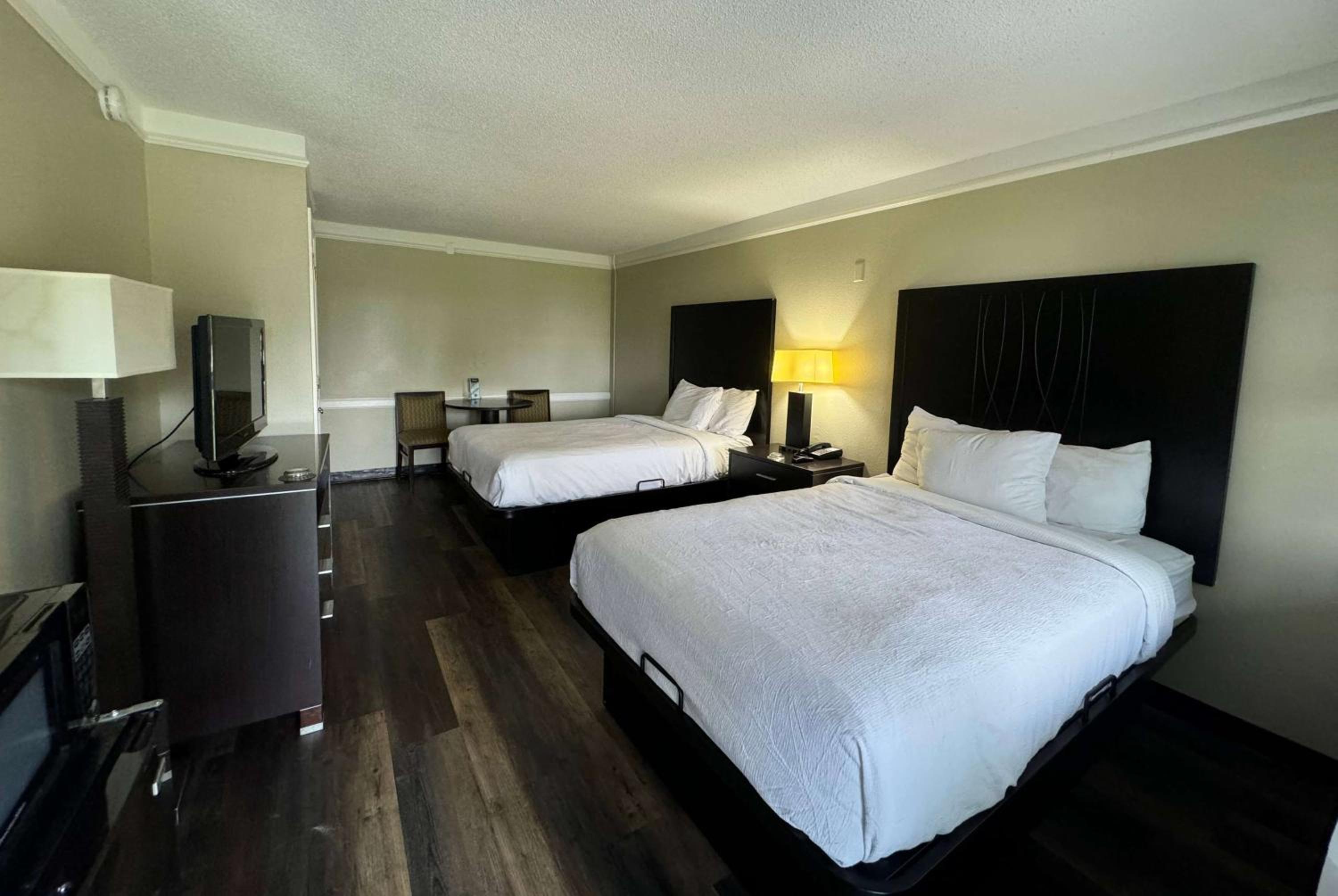 Double Room with Two Double Beds and Sofa Bed - Non-Smoking