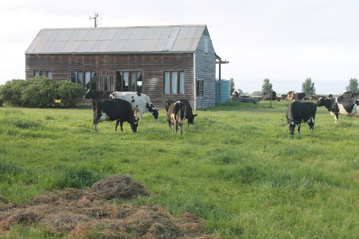 The Barn photo 3