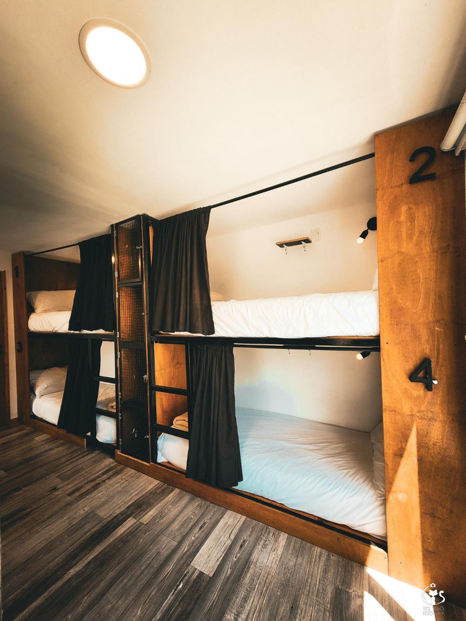 Bunk Bed in Mixed Dormitory Room