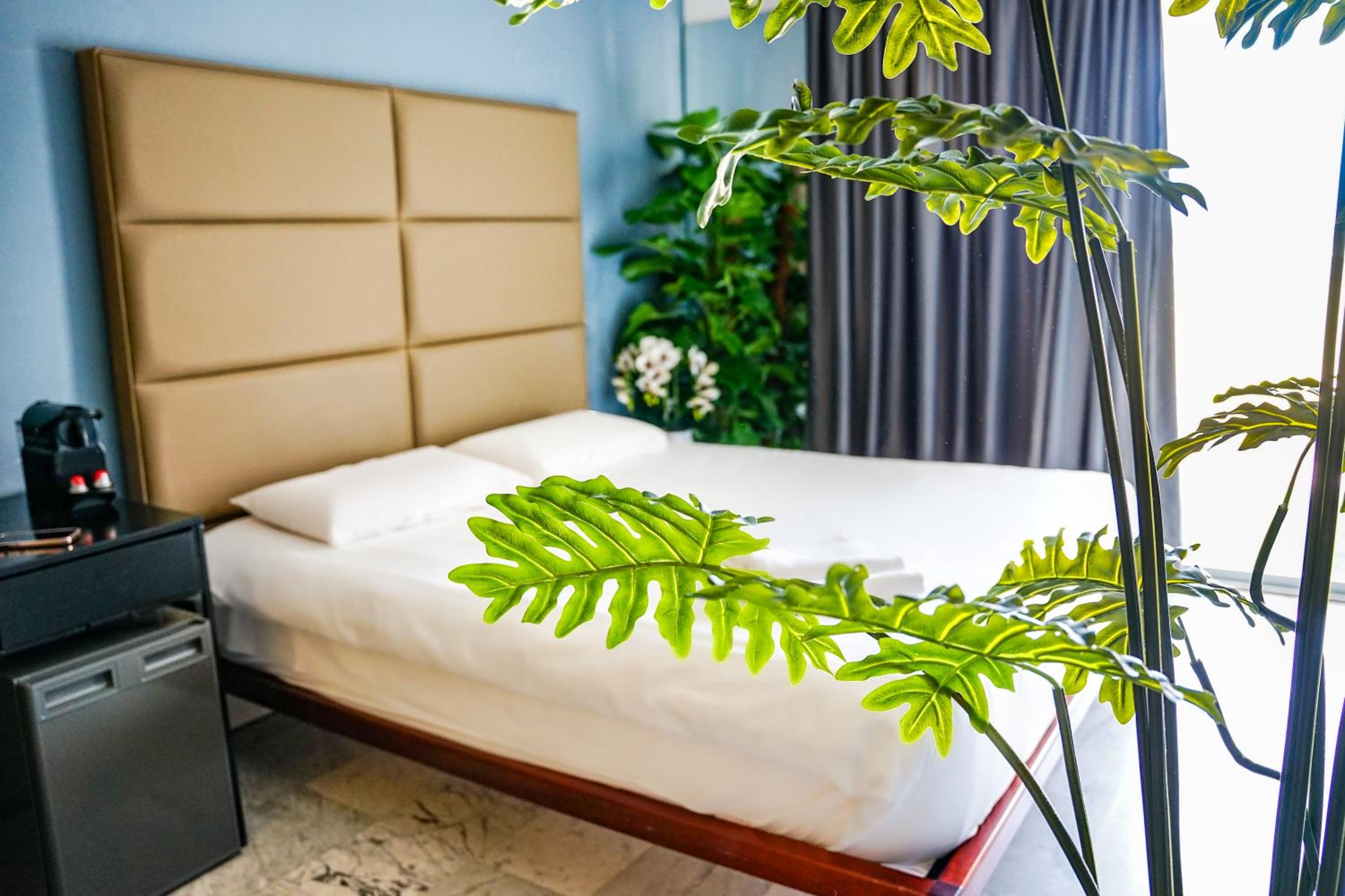 Deluxe King Suite
