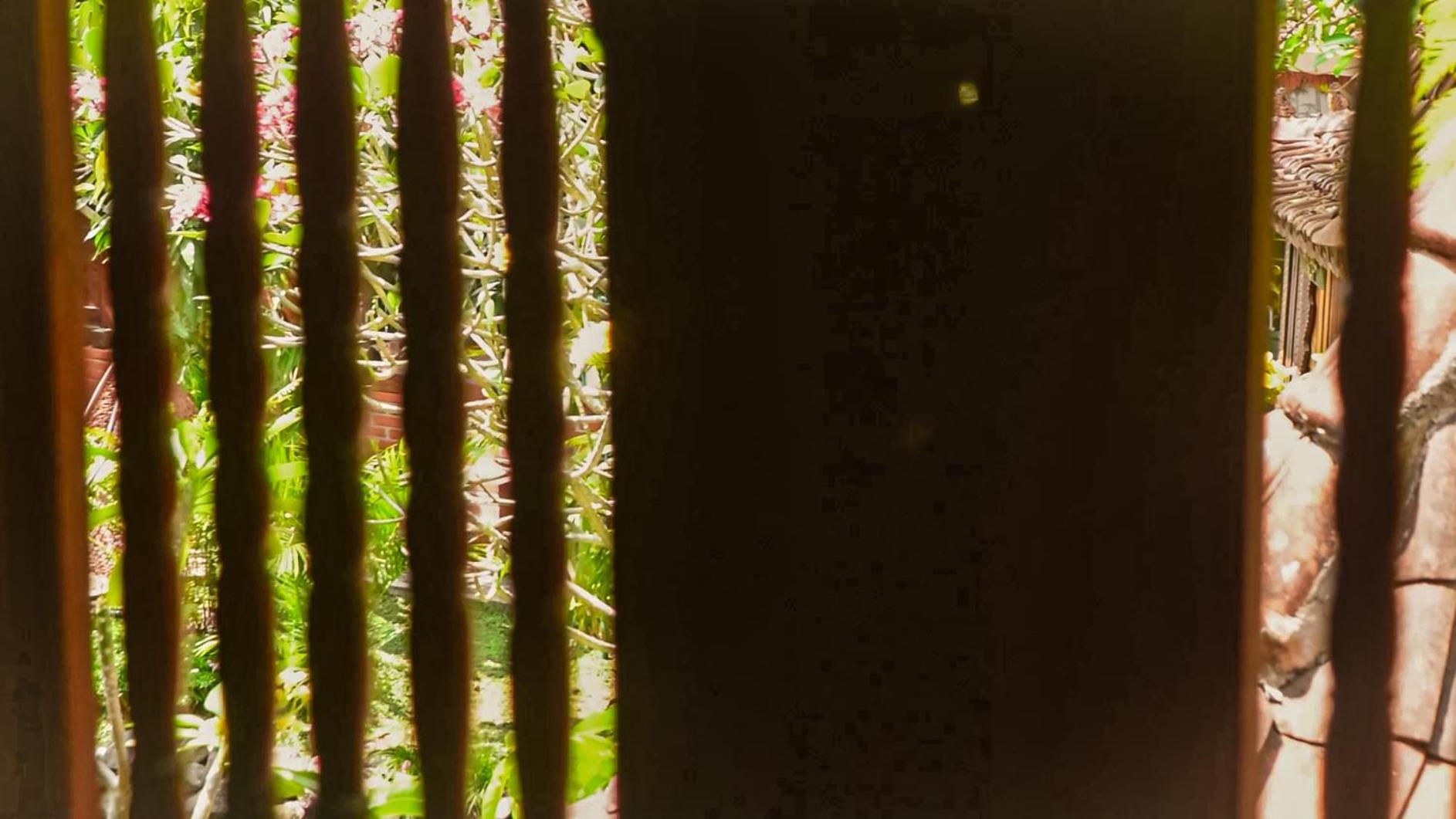 Twin Room - Photo 5