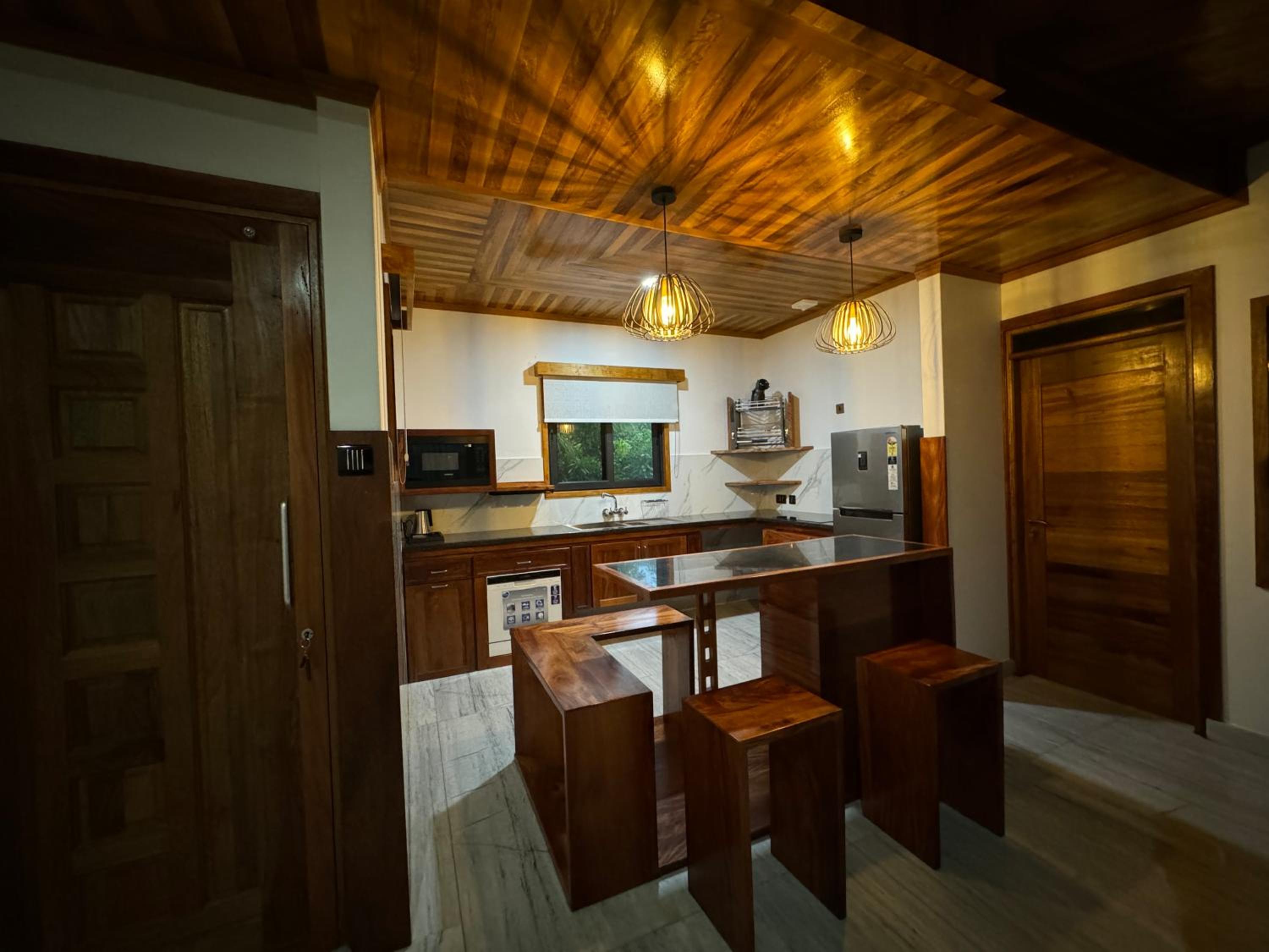 Deluxe Villa photo 2