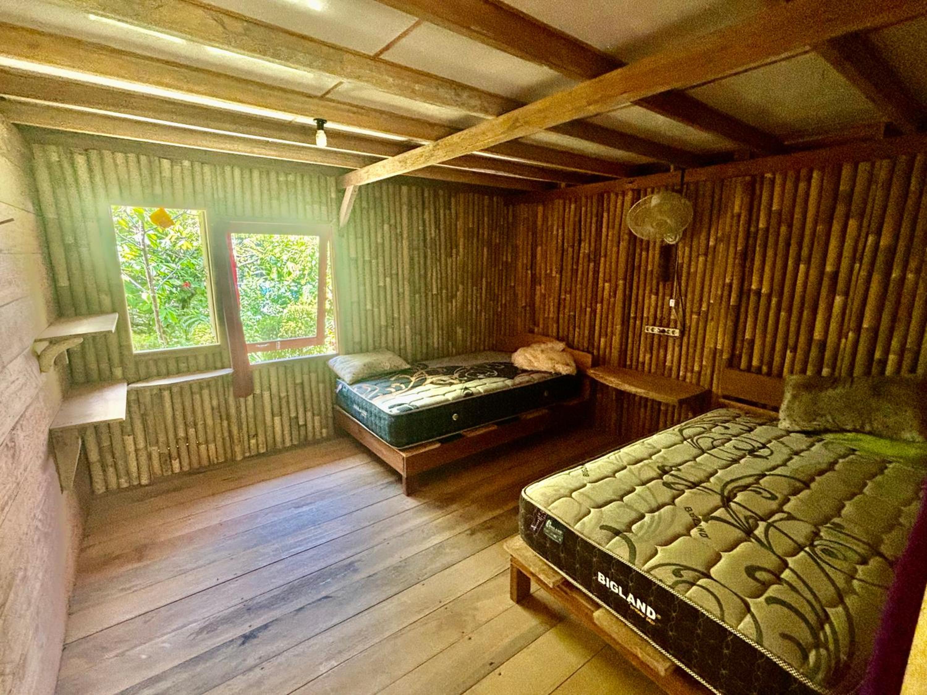 Twin Room photo 1