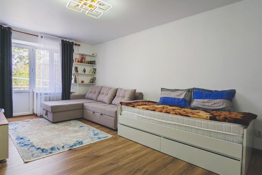 One-Bedroom Apartment photo 3