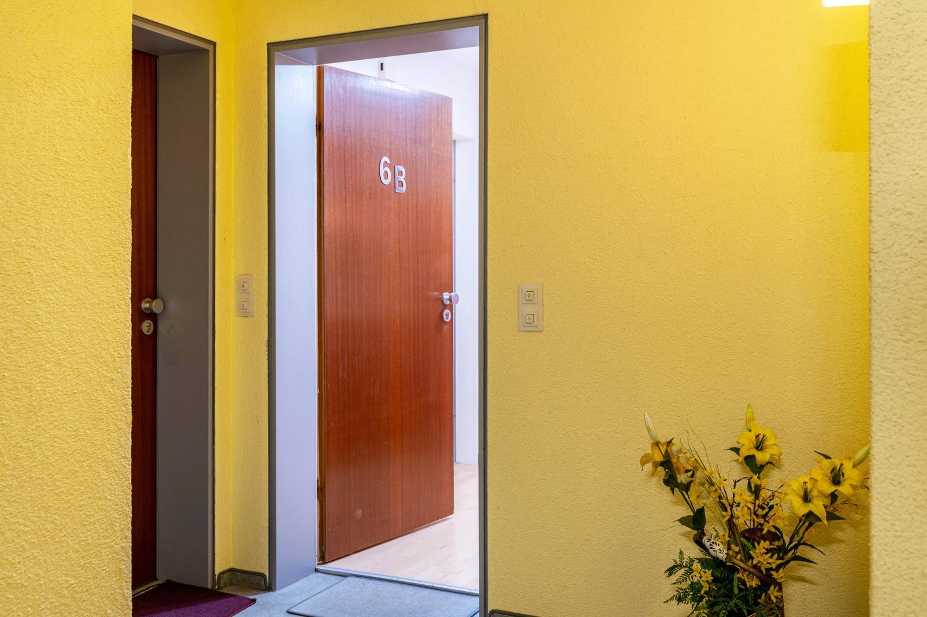 Superior One-Bedroom Apartment with Balcony photo 3