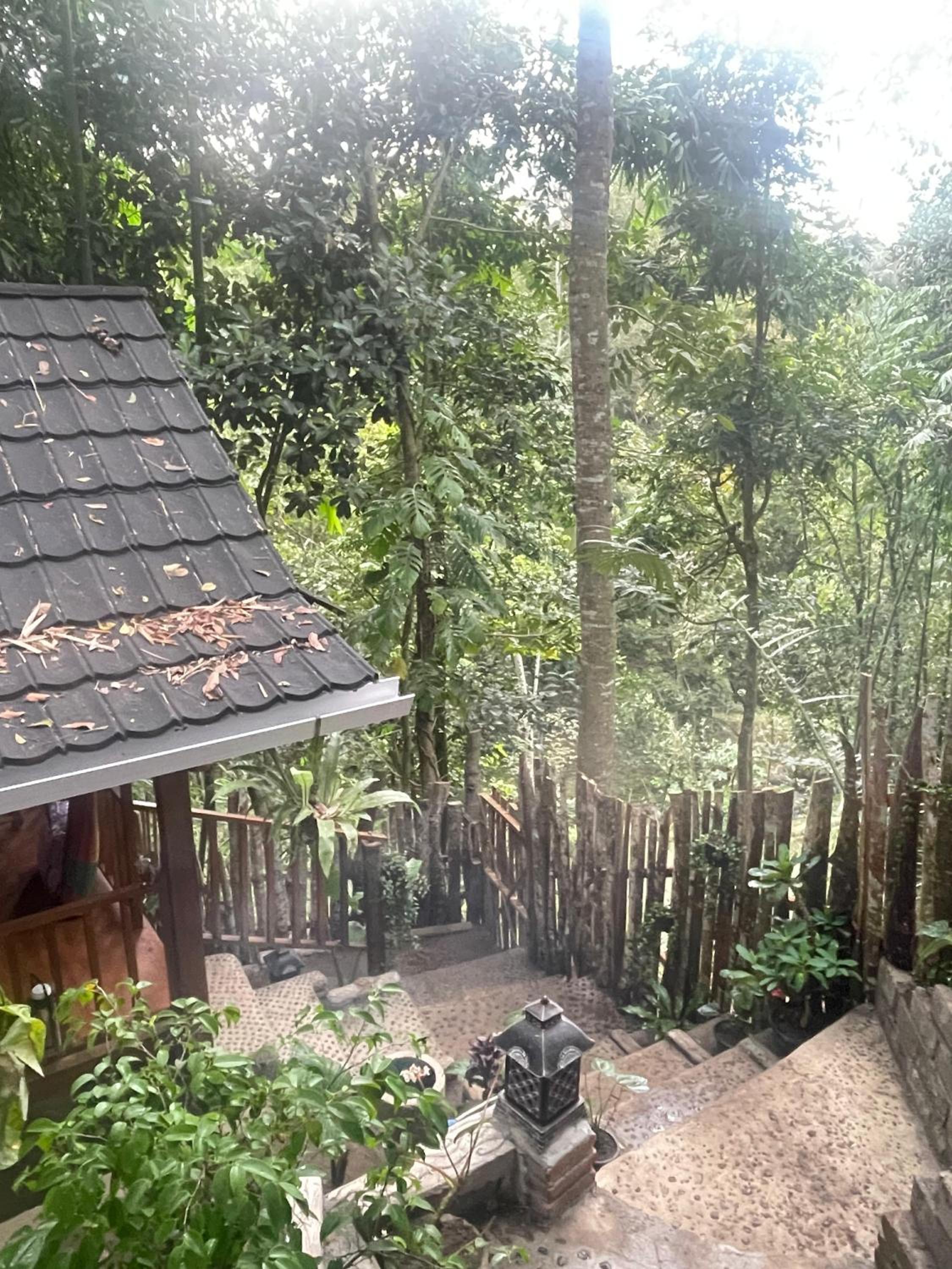 Deluxe Double or Twin Room with River View photo 3