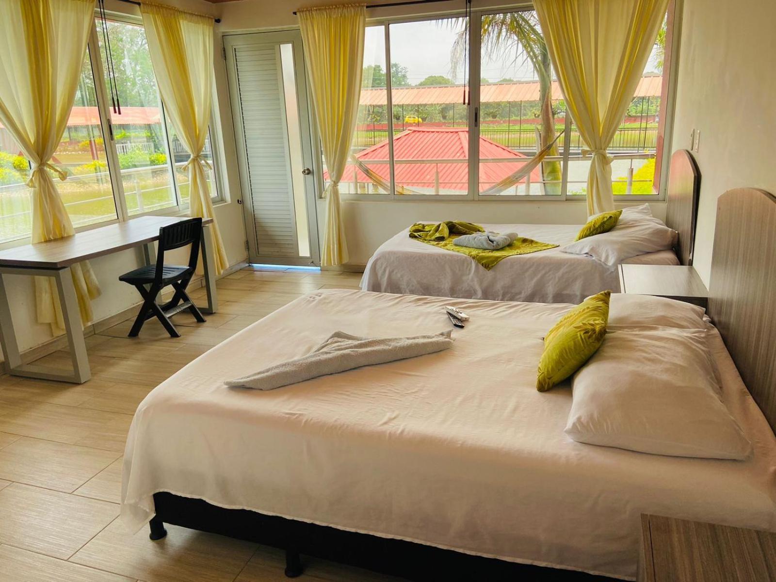 Twin Room photo 1