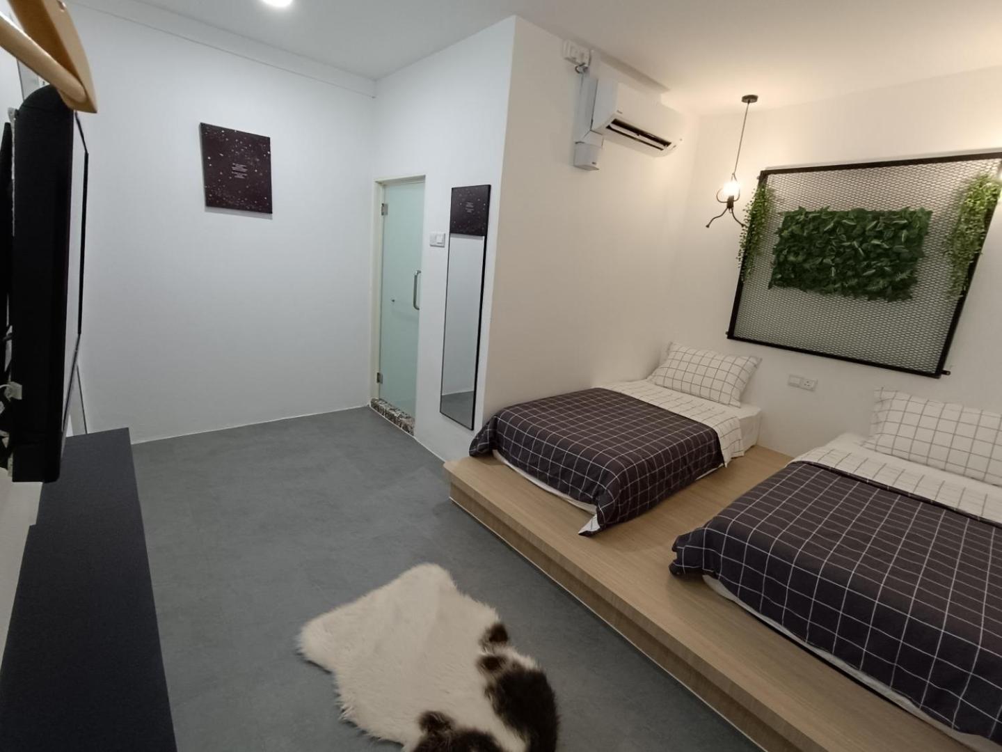 Twin Room photo 2