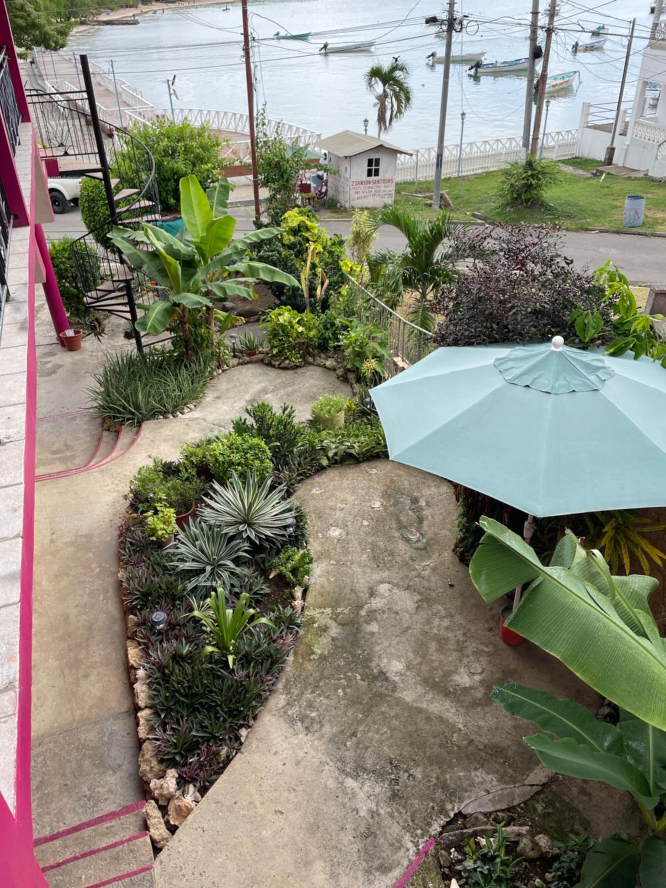 Double Room with Garden View photo 3