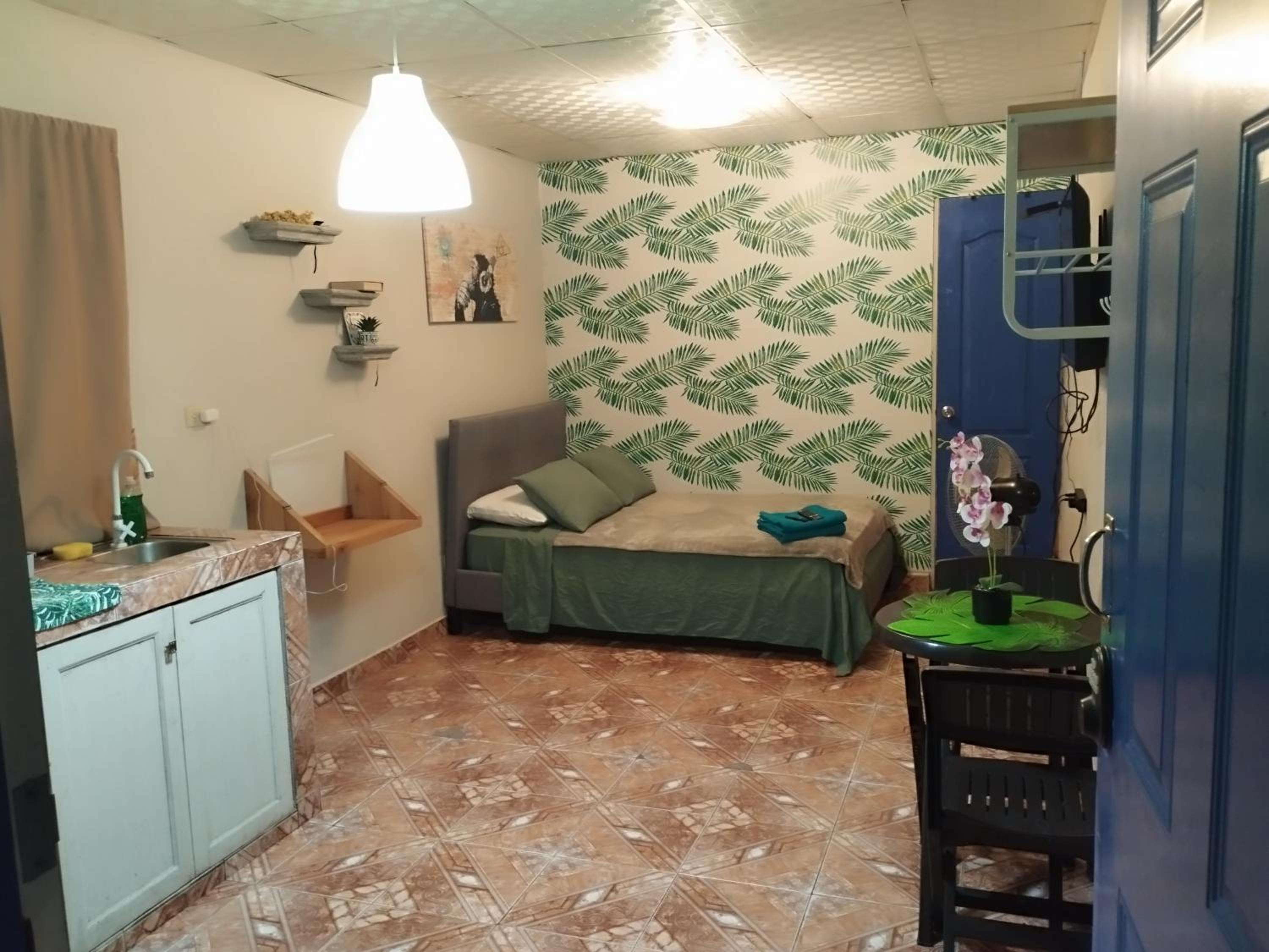 One-Bedroom Apartment photo 3