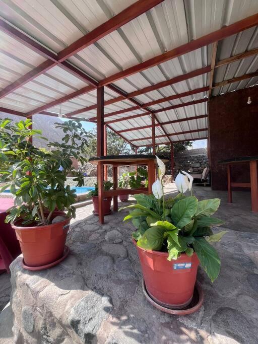 Three-Bedroom Vacation Home  photo 2