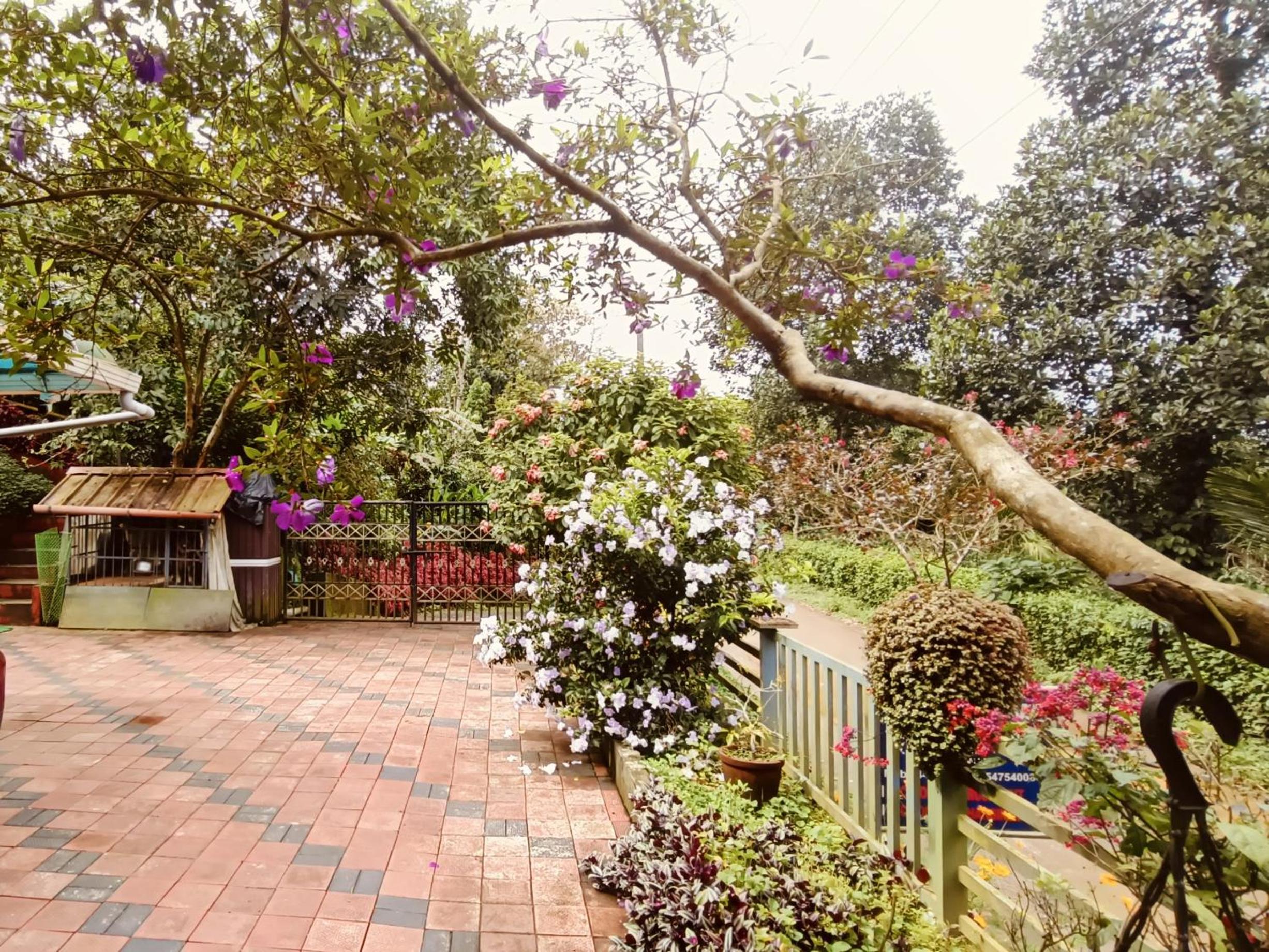Double Room with Mountain View photo 3