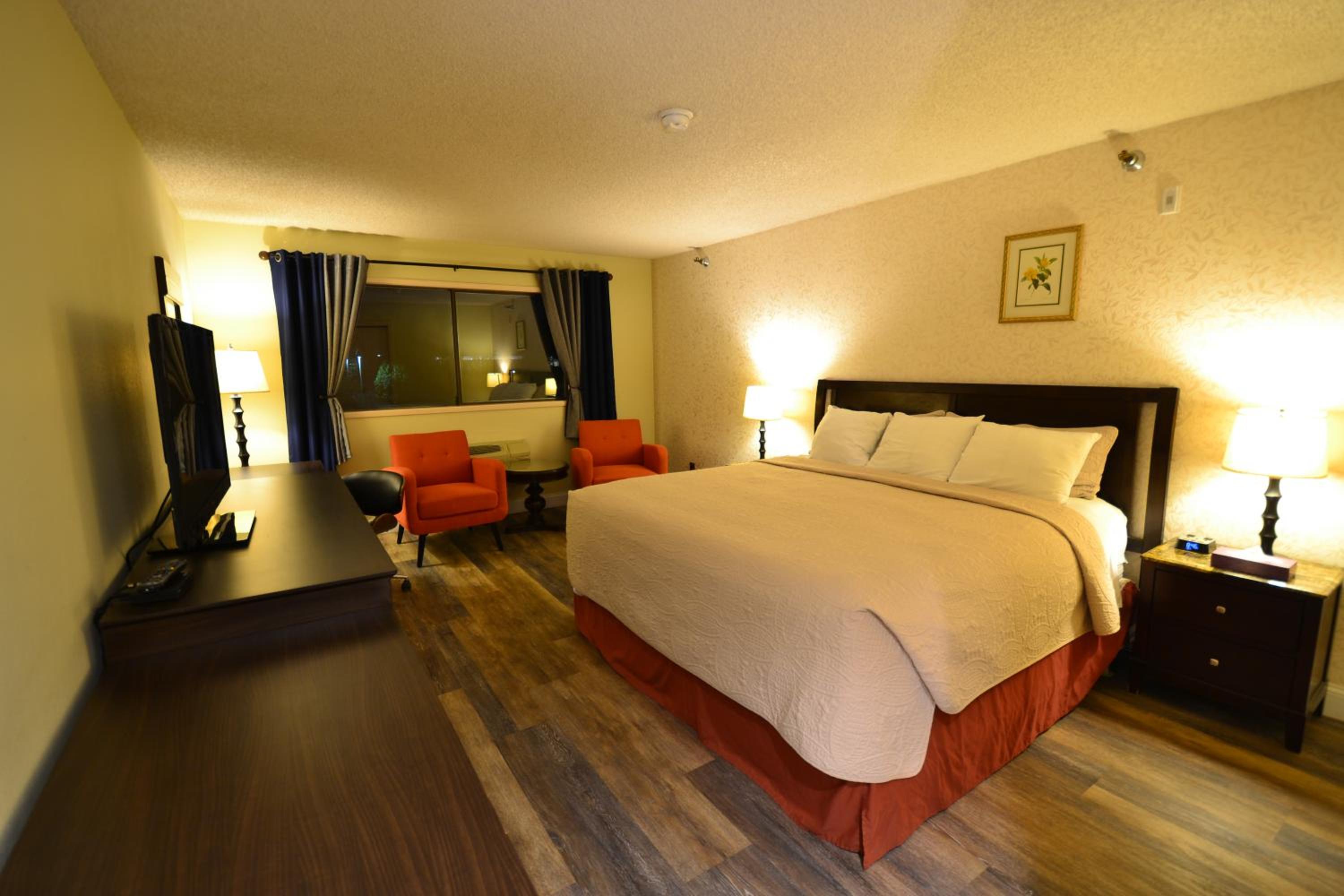King Room photo 1