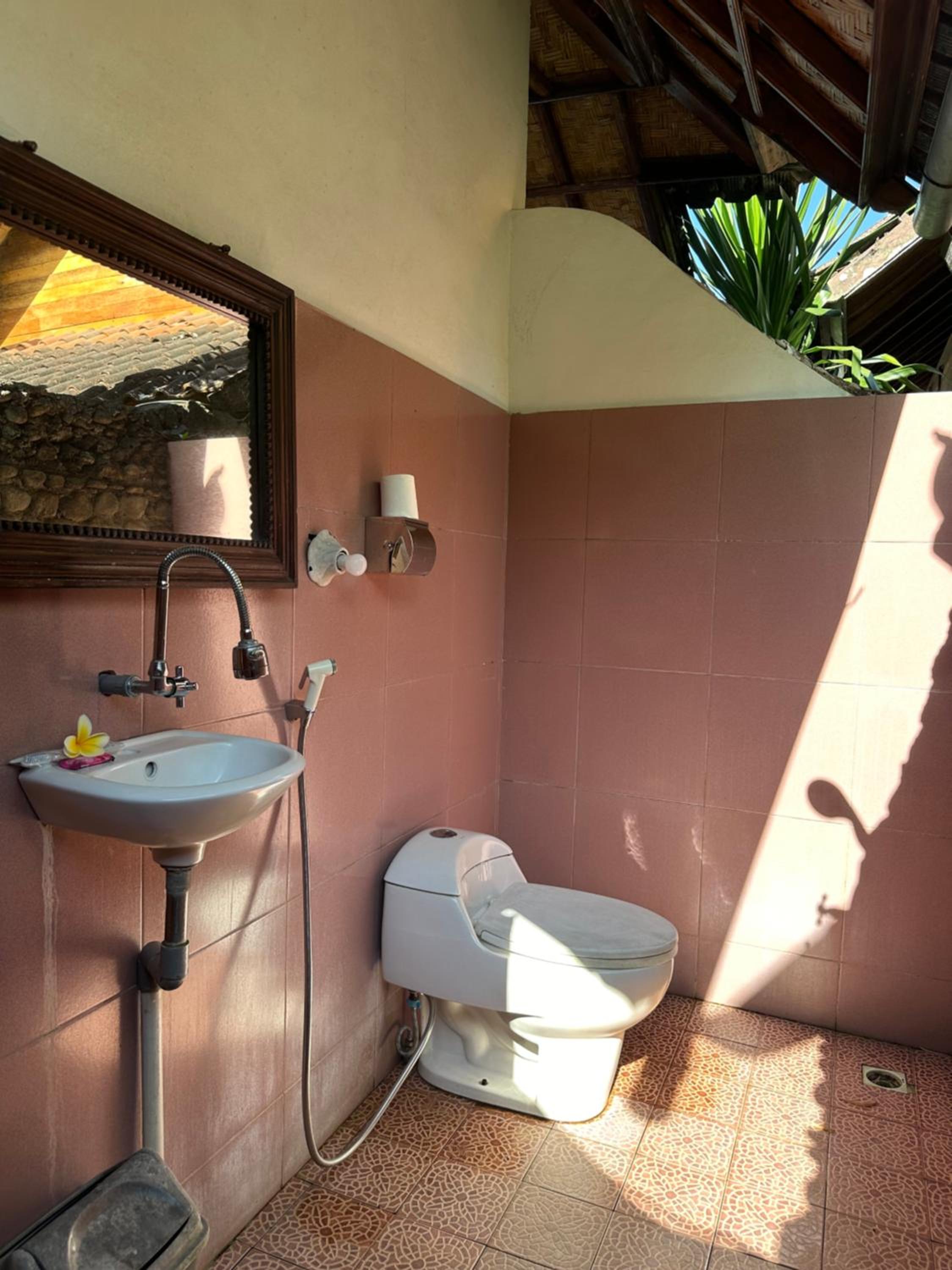 Deluxe Villa photo 2