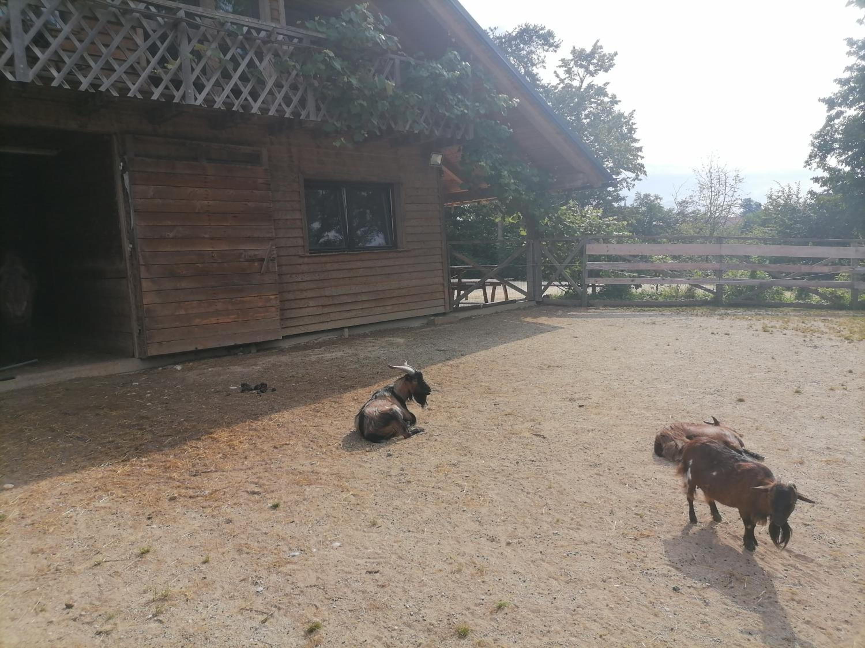 Chalet photo 3