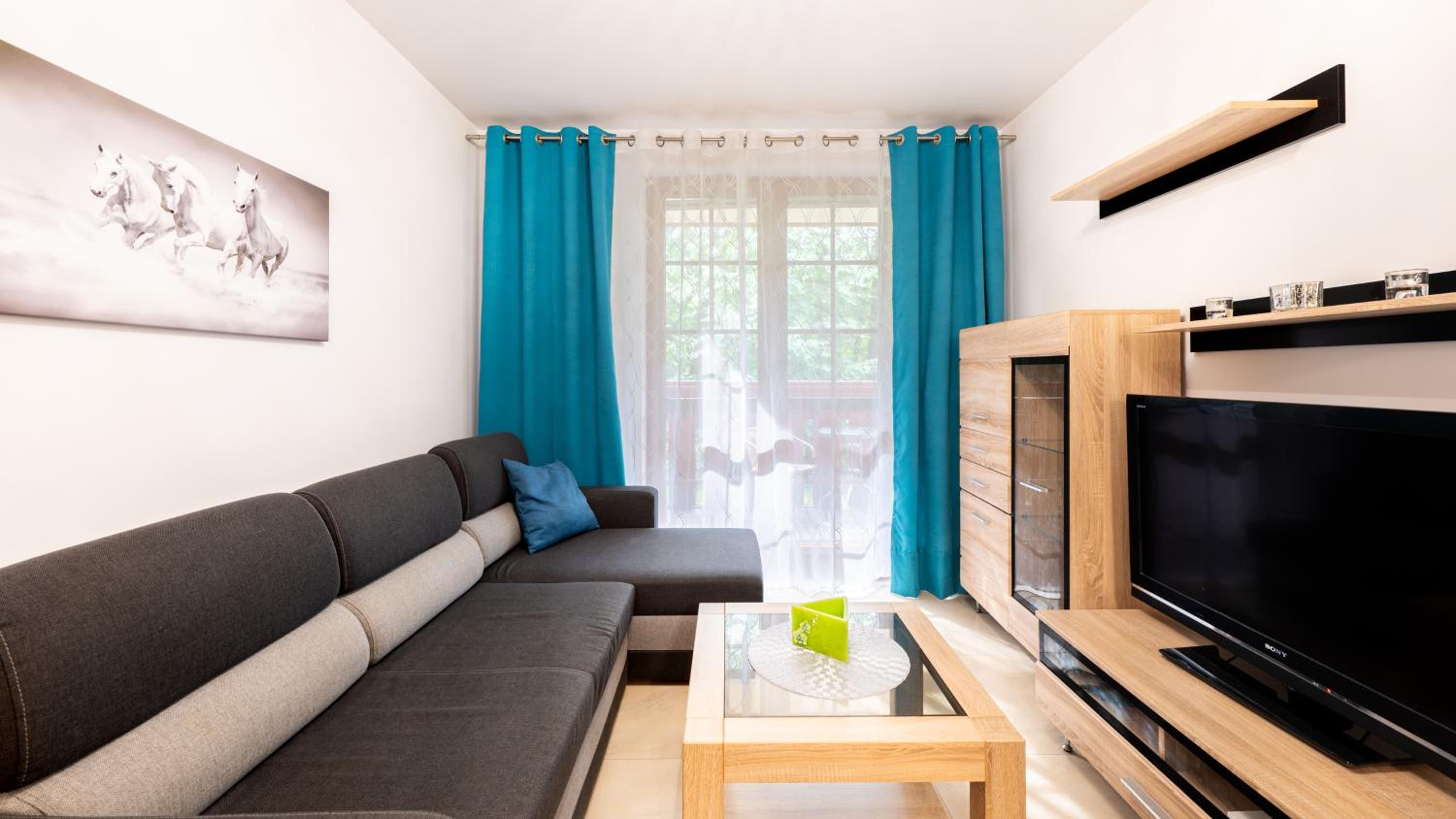 One-Bedroom Apartment photo 1