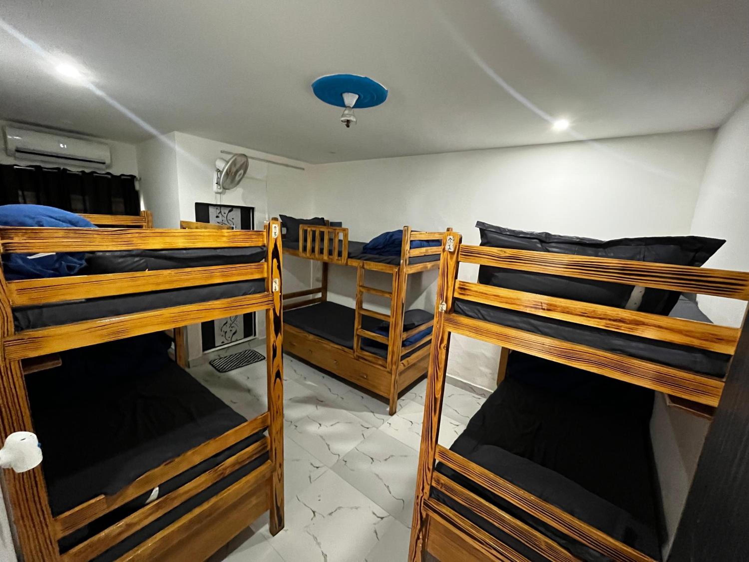 Bed in 6-Bed Mixed Dormitory Room photo 1