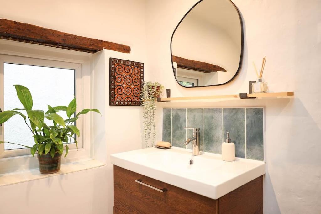 One-Bedroom House photo 3