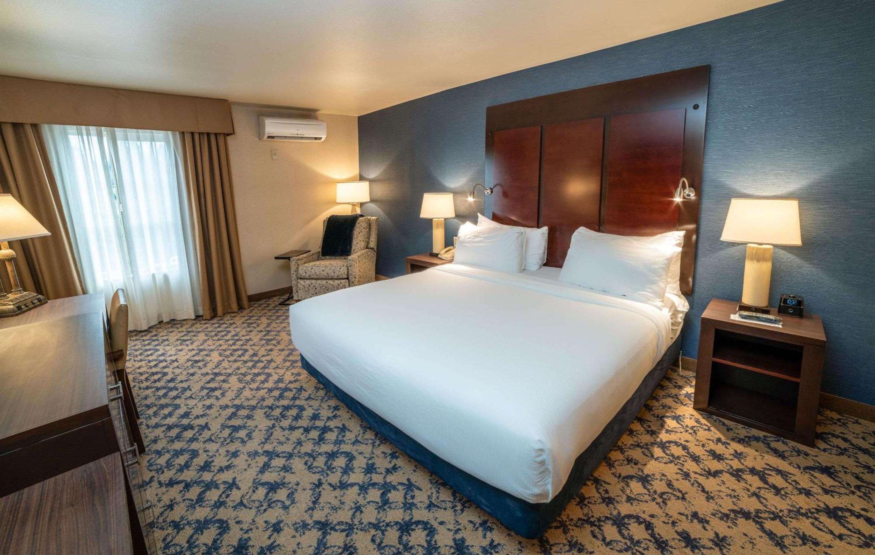 King Suite with Sofa Bed - Photo 4